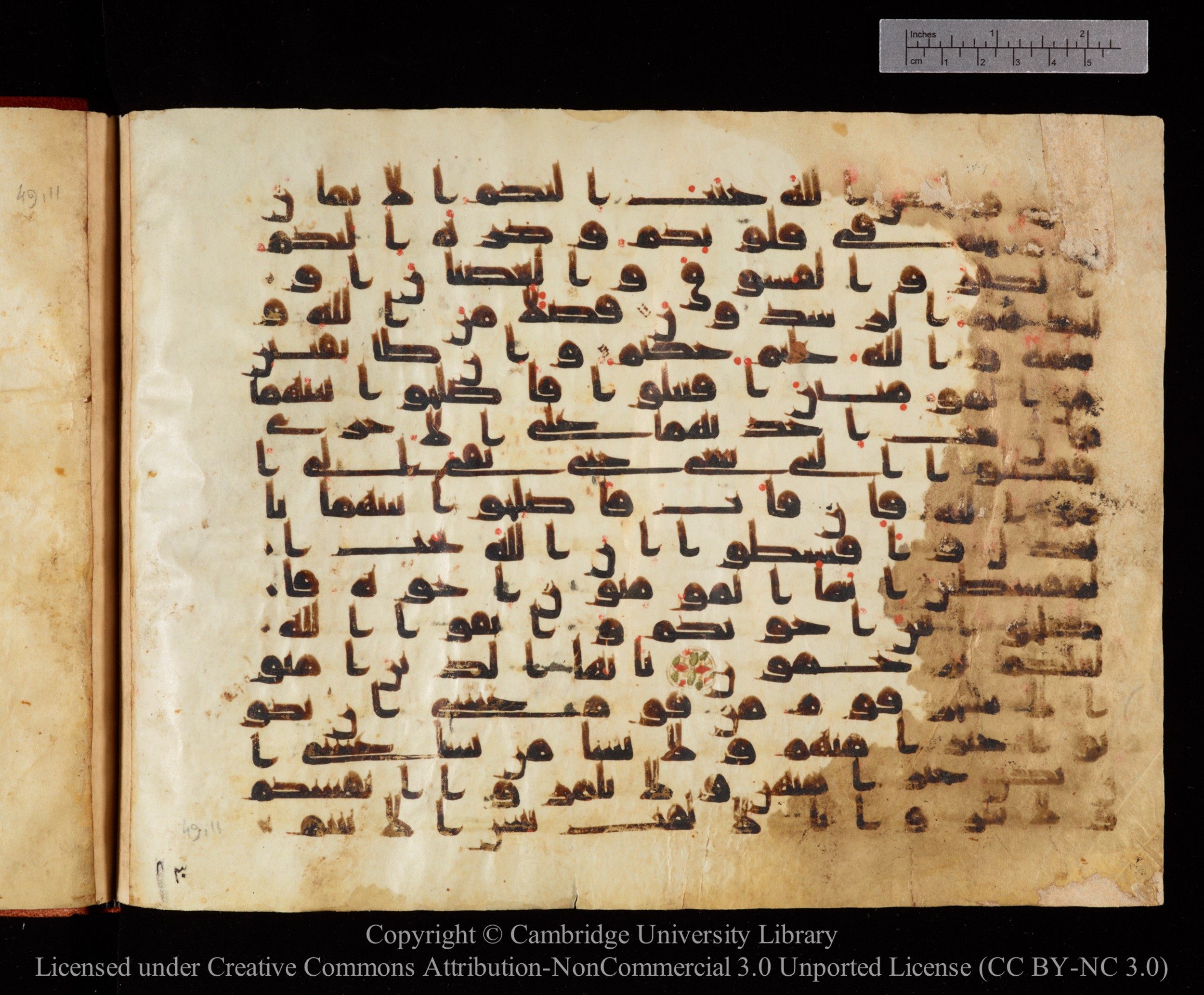 Cambridge University Library MS Or.771, in kūfī D.I script, showing Surah 49:8 from 10th to 11th Century AD found in Unknown, currently housed at Cambridge University Library, Cambridge, UK