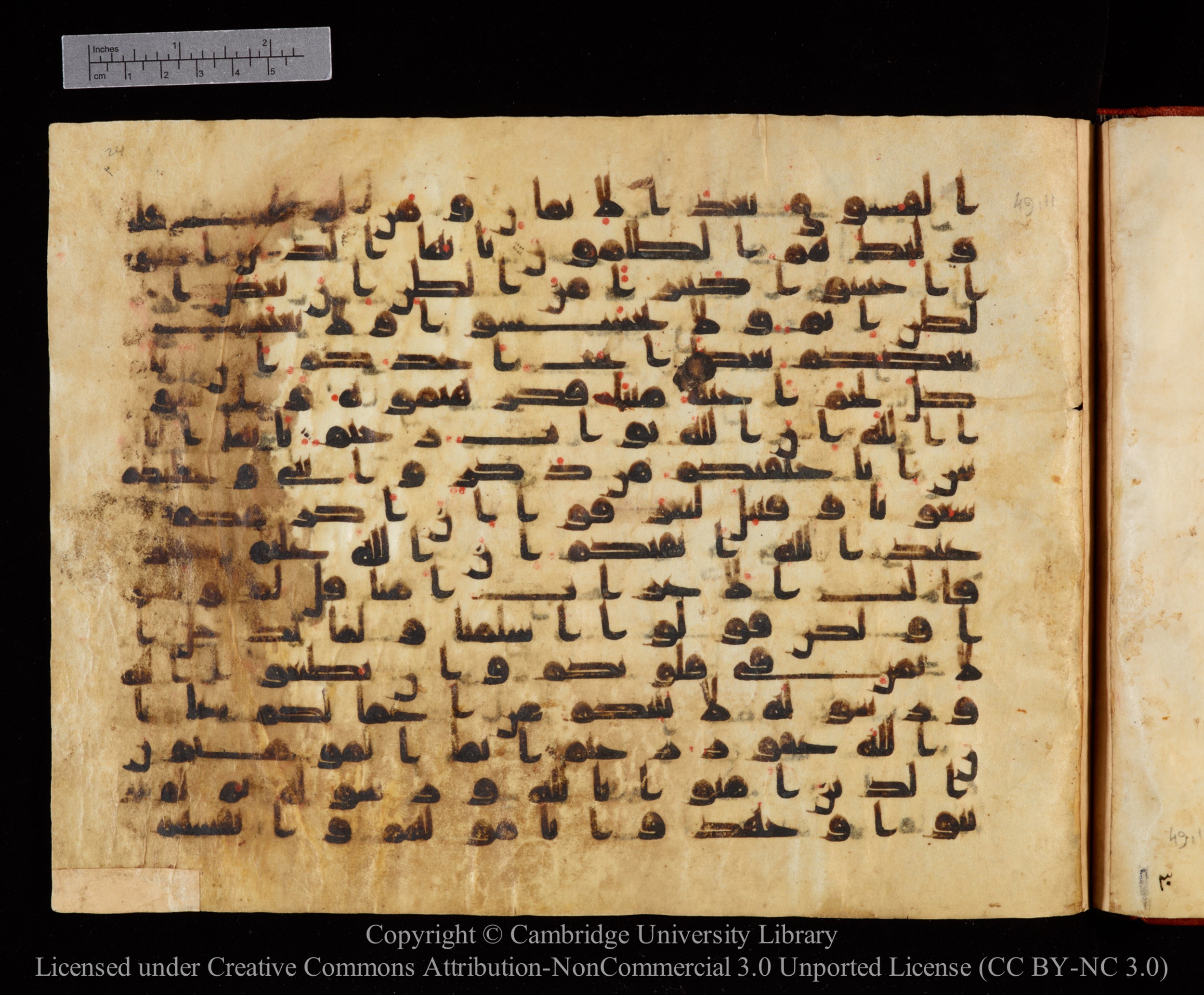 Cambridge University Library MS Or.771, in kūfī D.I script, showing Surah 49:12 from 10th to 11th Century AD found in Unknown, currently housed at Cambridge University Library, Cambridge, UK