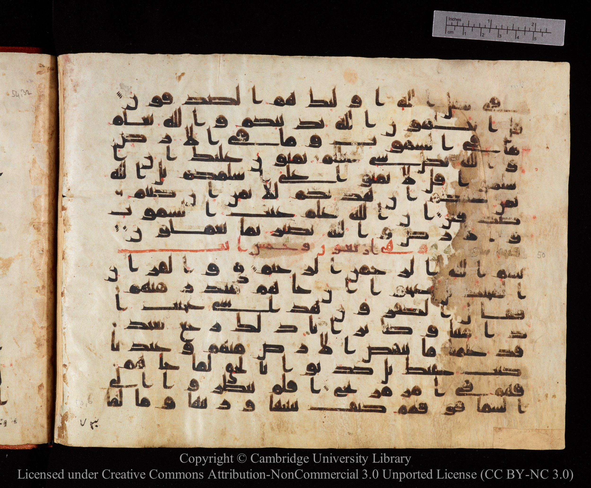 Cambridge University Library MS Or.771, in kūfī D.I script, showing Surah 49:18 from 10th to 11th Century AD found in Unknown, currently housed at Cambridge University Library, Cambridge, UK