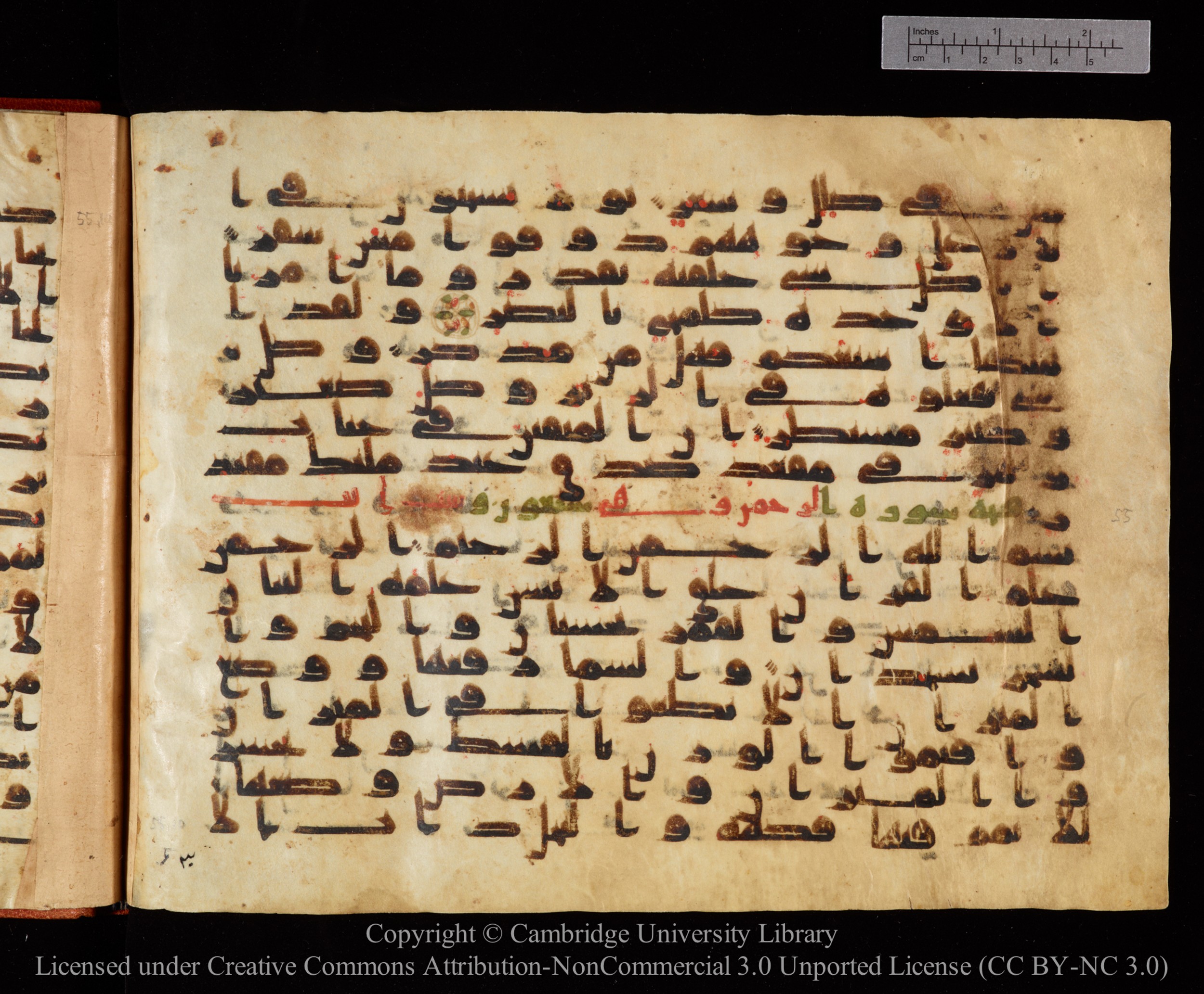 Cambridge University Library MS Or.771, in kūfī D.I script, showing Surah 55:2 from 10th to 11th Century AD found in Unknown, currently housed at Cambridge University Library, Cambridge, UK