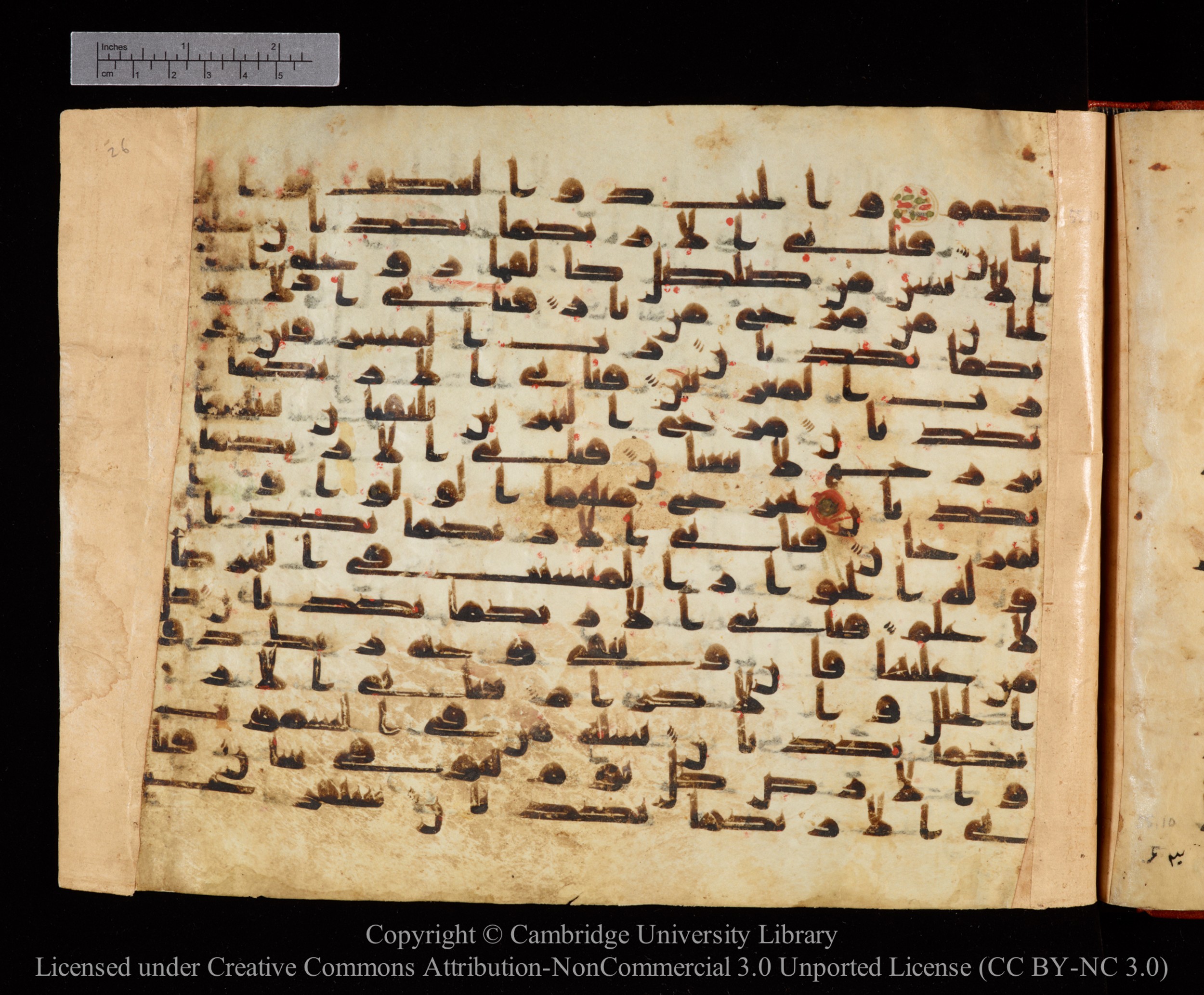 Cambridge University Library MS Or.771, in kūfī D.I script, showing Surah 55:21 from 10th to 11th Century AD found in Unknown, currently housed at Cambridge University Library, Cambridge, UK