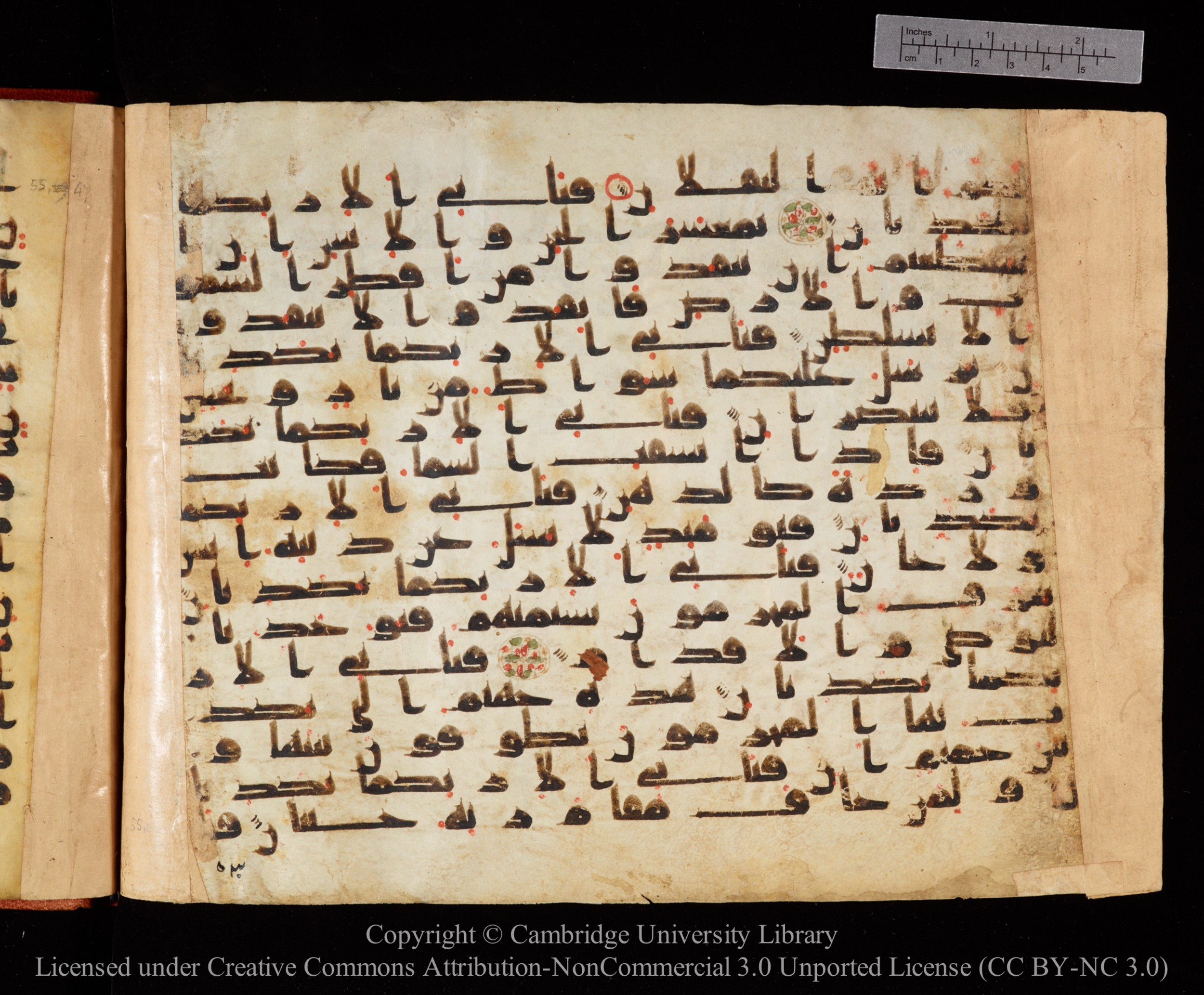 Cambridge University Library MS Or.771, in kūfī D.I script, showing Surah 55:39 from 10th to 11th Century AD found in Unknown, currently housed at Cambridge University Library, Cambridge, UK
