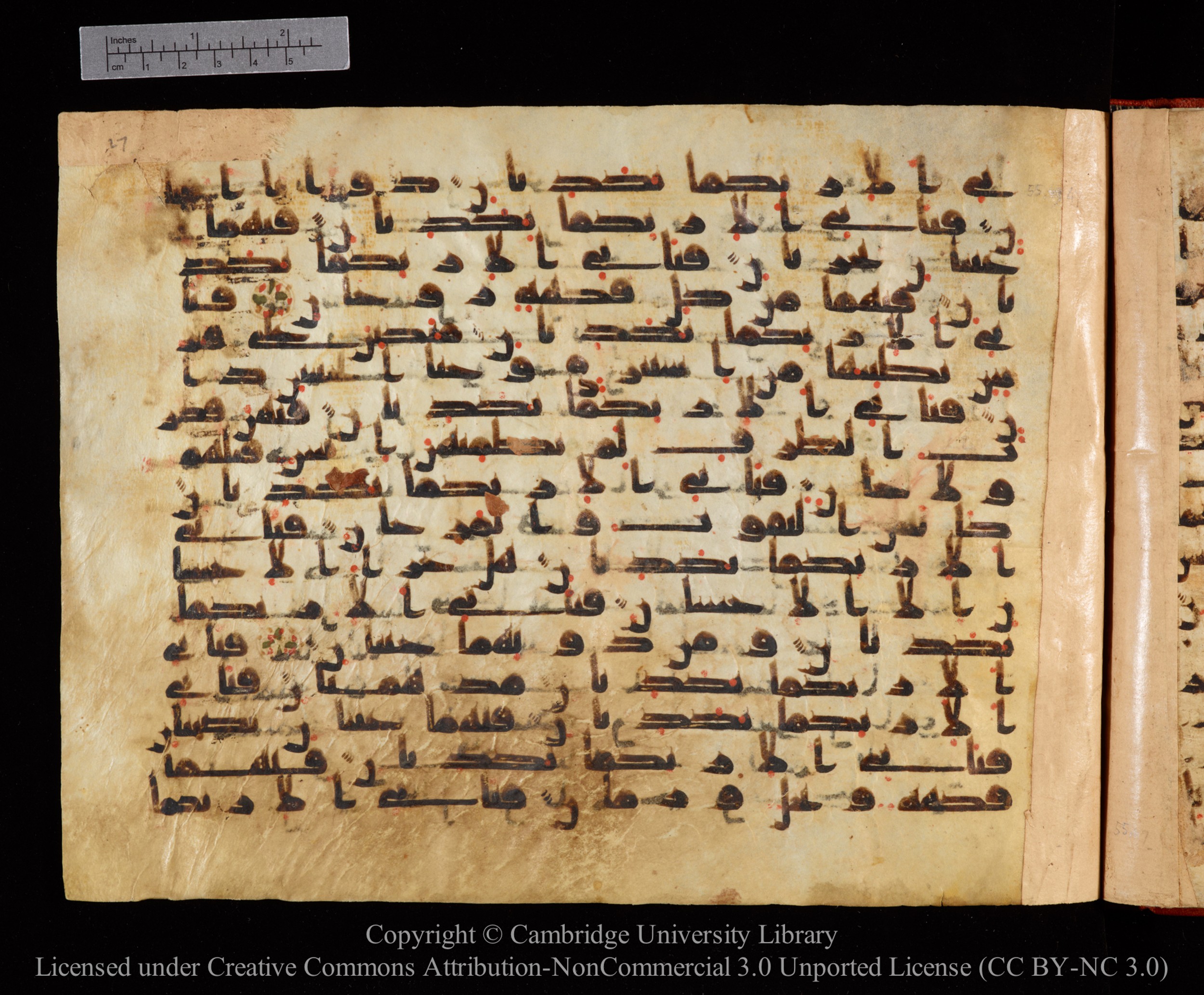 Cambridge University Library MS Or.771, in kūfī D.I script, showing Surah 55:49 from 10th to 11th Century AD found in Unknown, currently housed at Cambridge University Library, Cambridge, UK