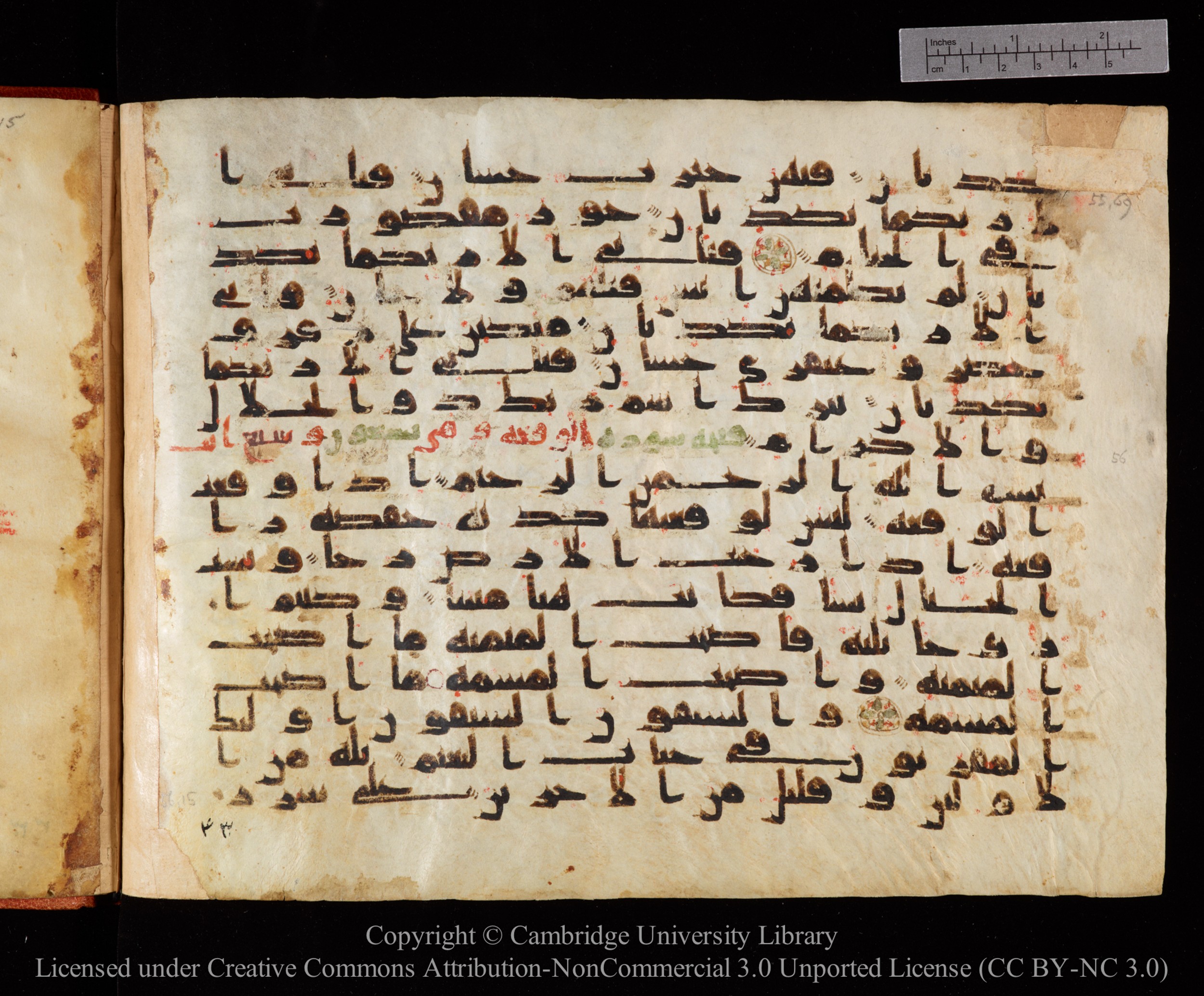 Cambridge University Library MS Or.771, in kūfī D.I script, showing Surah 56:13 from 10th to 11th Century AD found in Unknown, currently housed at Cambridge University Library, Cambridge, UK