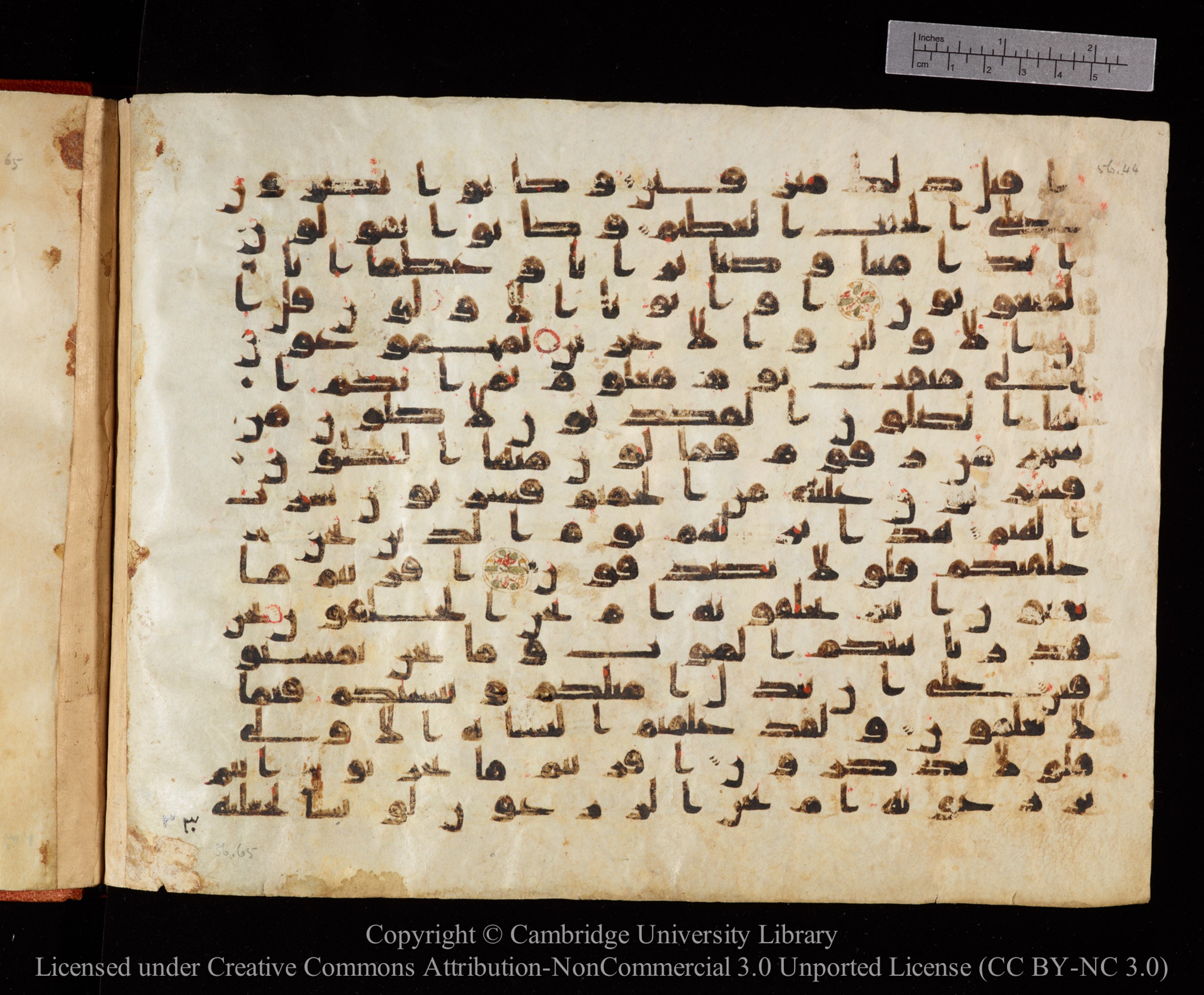 Cambridge University Library MS Or.771, in kūfī D.I script, showing Surah 56:52 from 10th to 11th Century AD found in Unknown, currently housed at Cambridge University Library, Cambridge, UK