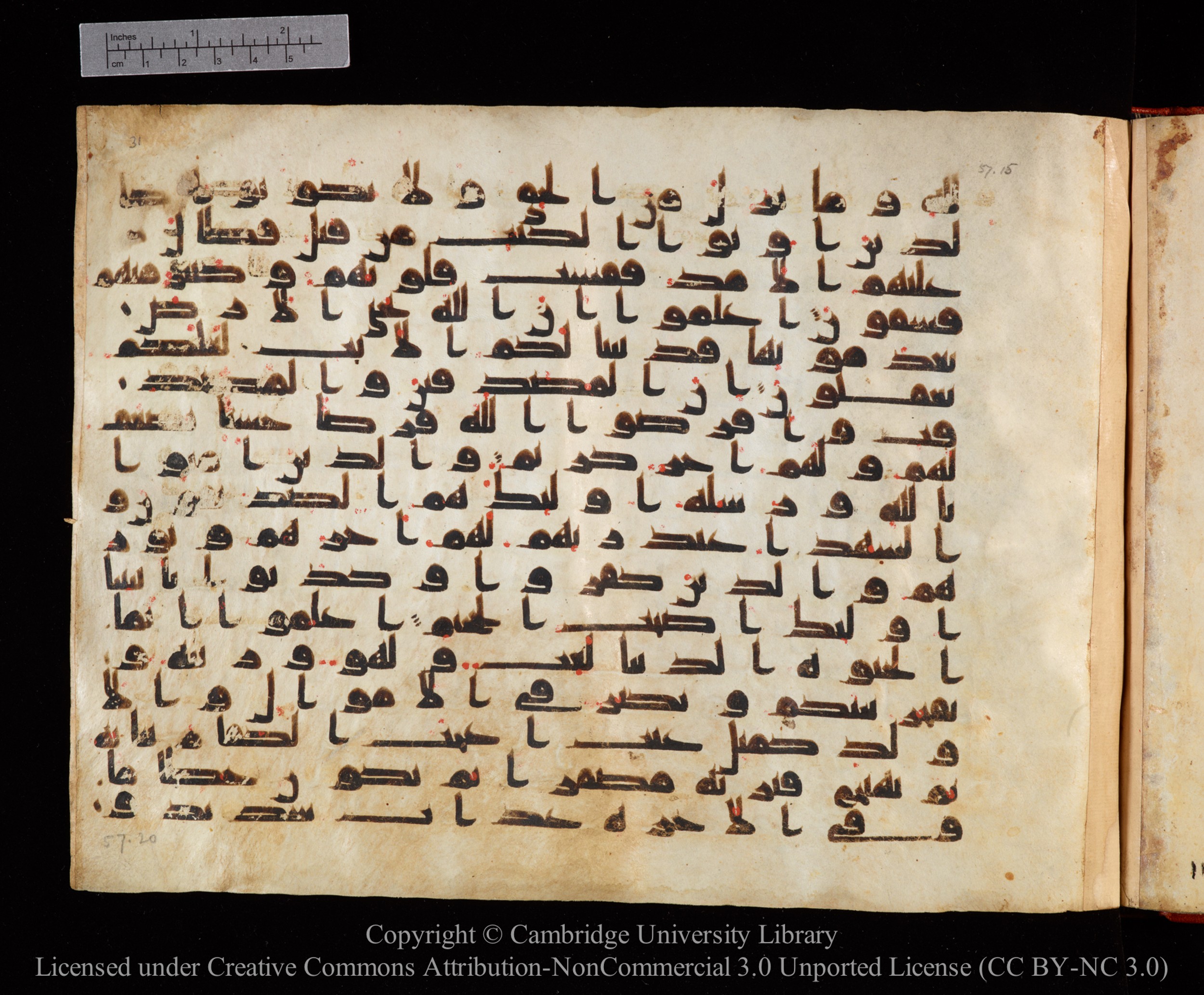 Cambridge University Library MS Or.771 (Scan 2), in kūfī D.I script, showing Surah 57:16 from 10th to 11th Century AD found in Unknown, currently housed at Cambridge University Library, Cambridge, UK