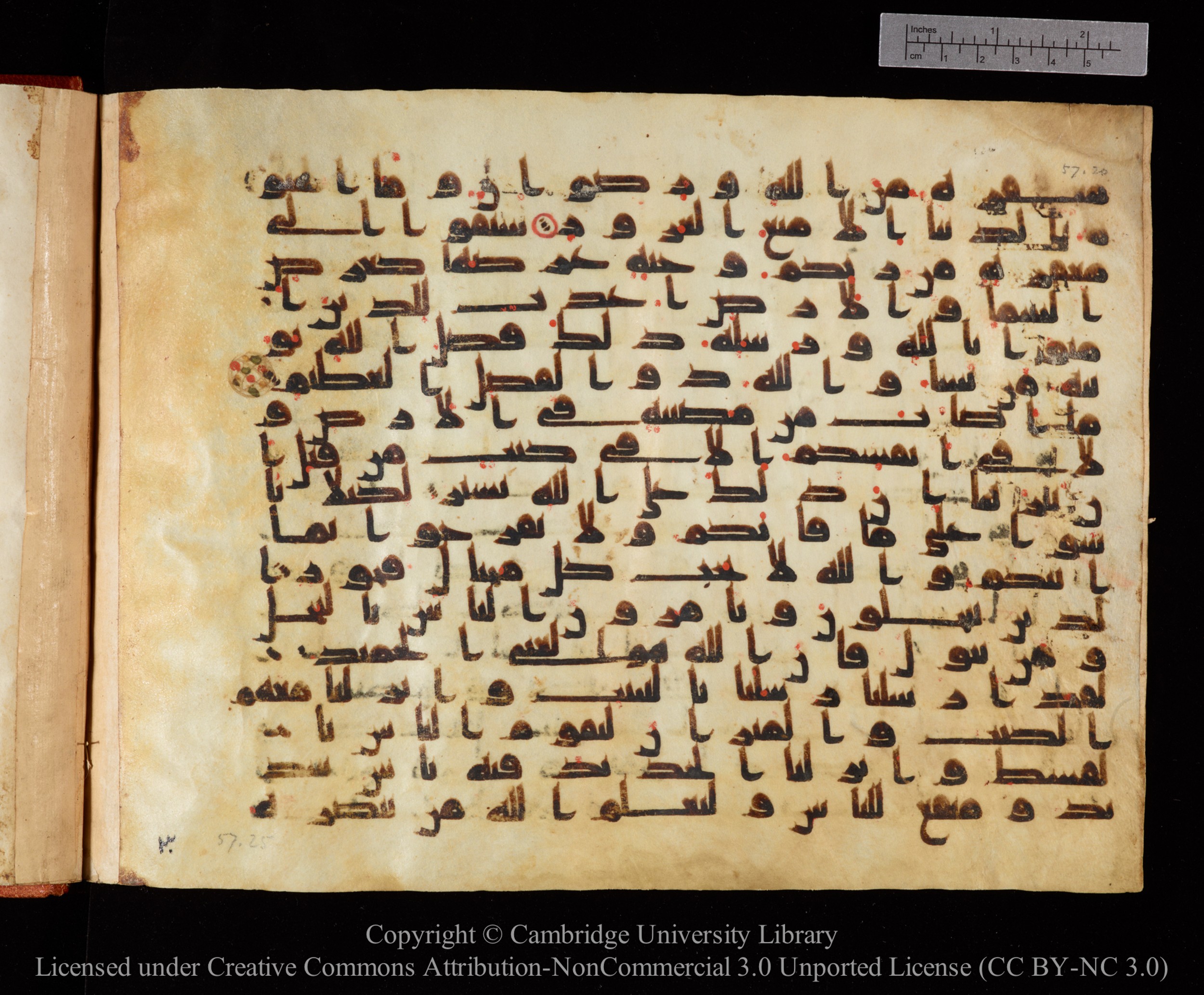 Cambridge University Library MS Or.771, in kūfī D.I script, showing Surah 57:21 from 10th to 11th Century AD found in Unknown, currently housed at Cambridge University Library, Cambridge, UK