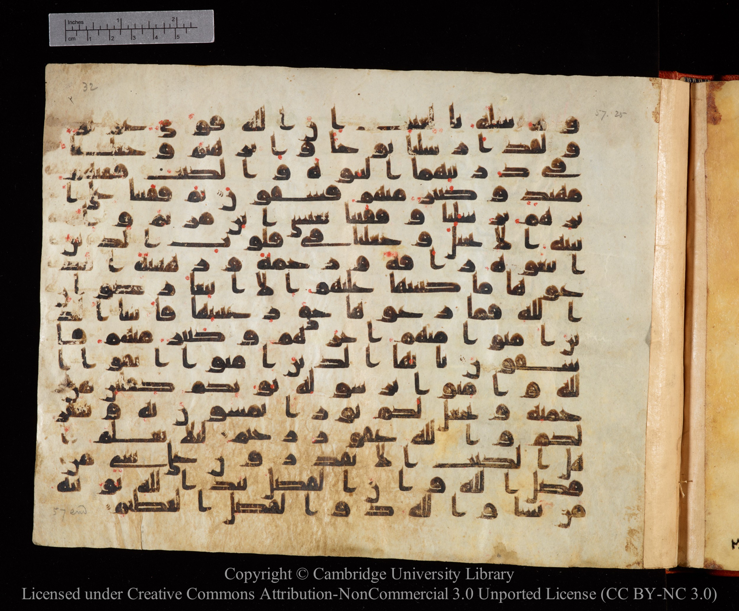 Cambridge University Library MS Or.771, in kūfī D.I script, showing Surah 57:29 from 10th to 11th Century AD found in Unknown, currently housed at Cambridge University Library, Cambridge, UK