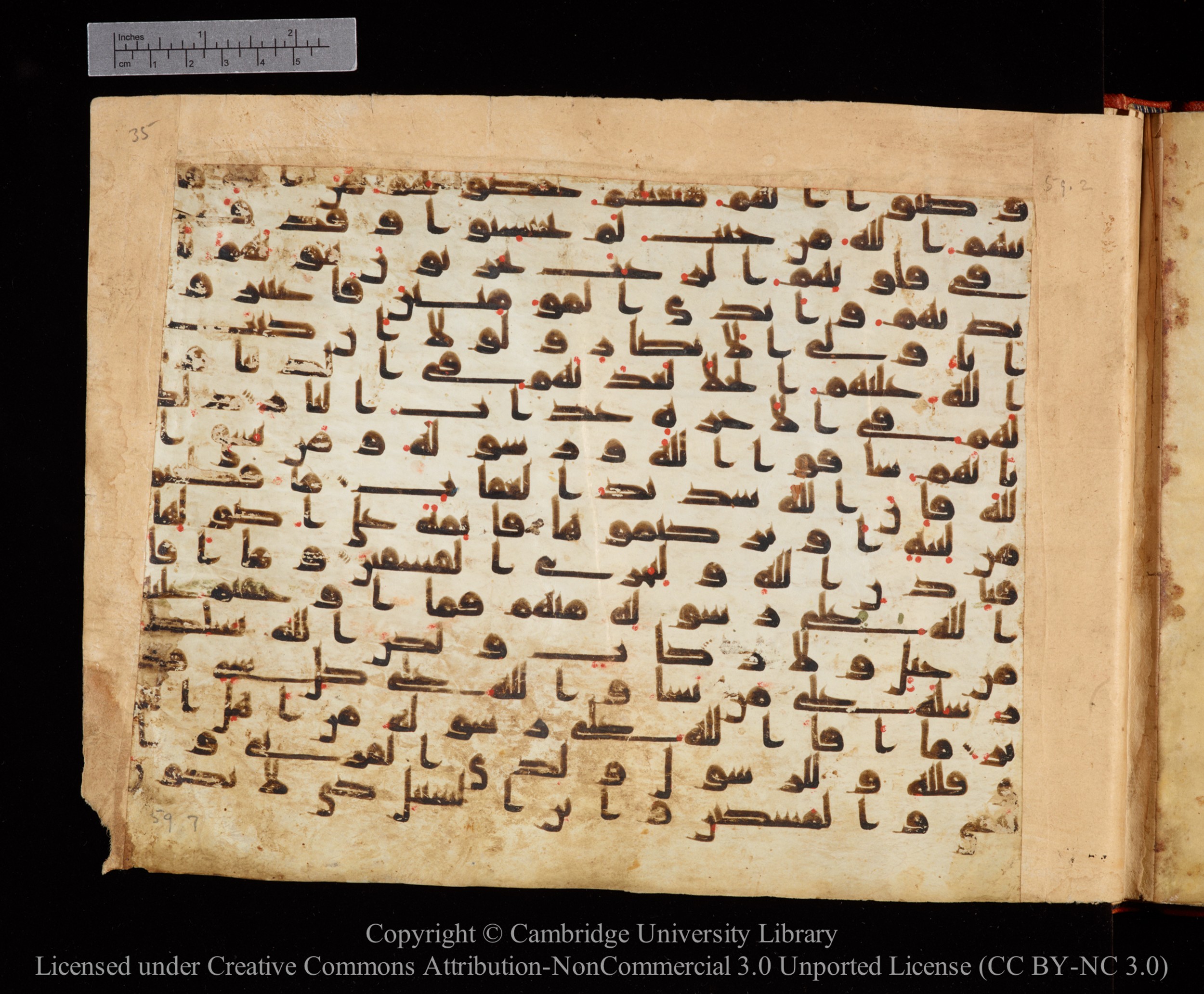 Cambridge University Library MS Or.771, in kūfī D.I script, showing Surah 59:3 from 10th to 11th Century AD found in Unknown, currently housed at Cambridge University Library, Cambridge, UK
