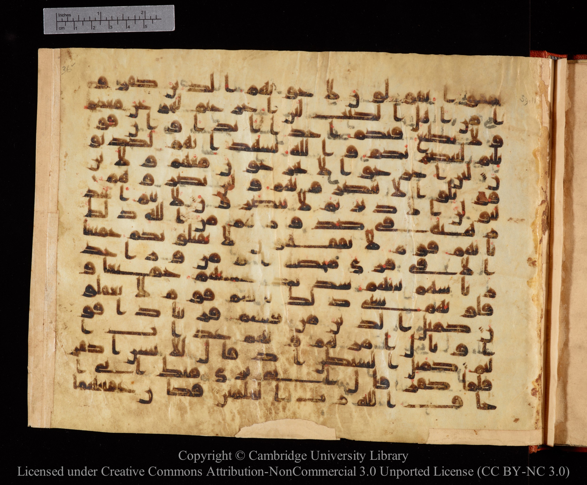 Cambridge University Library MS Or.771, in kūfī D.I script, showing Surah 59:13 from 10th to 11th Century AD found in Unknown, currently housed at Cambridge University Library, Cambridge, UK