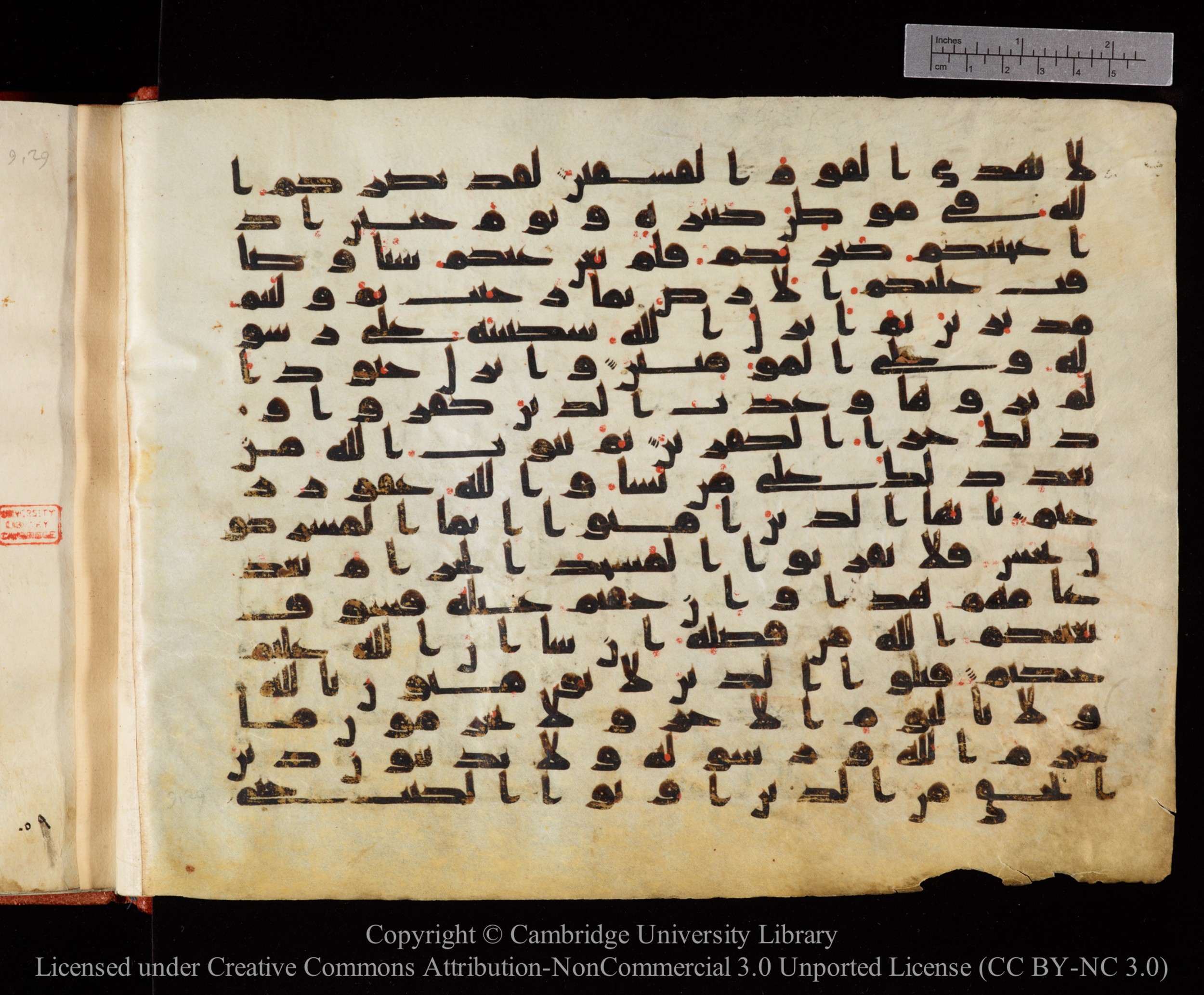 Cambridge University Library MS Or.771 (Scan 1), in kūfī D.I script, showing Surah 9:29 from 10th to 11th Century AD found in Unknown, currently housed at Cambridge University Library, Cambridge, UK