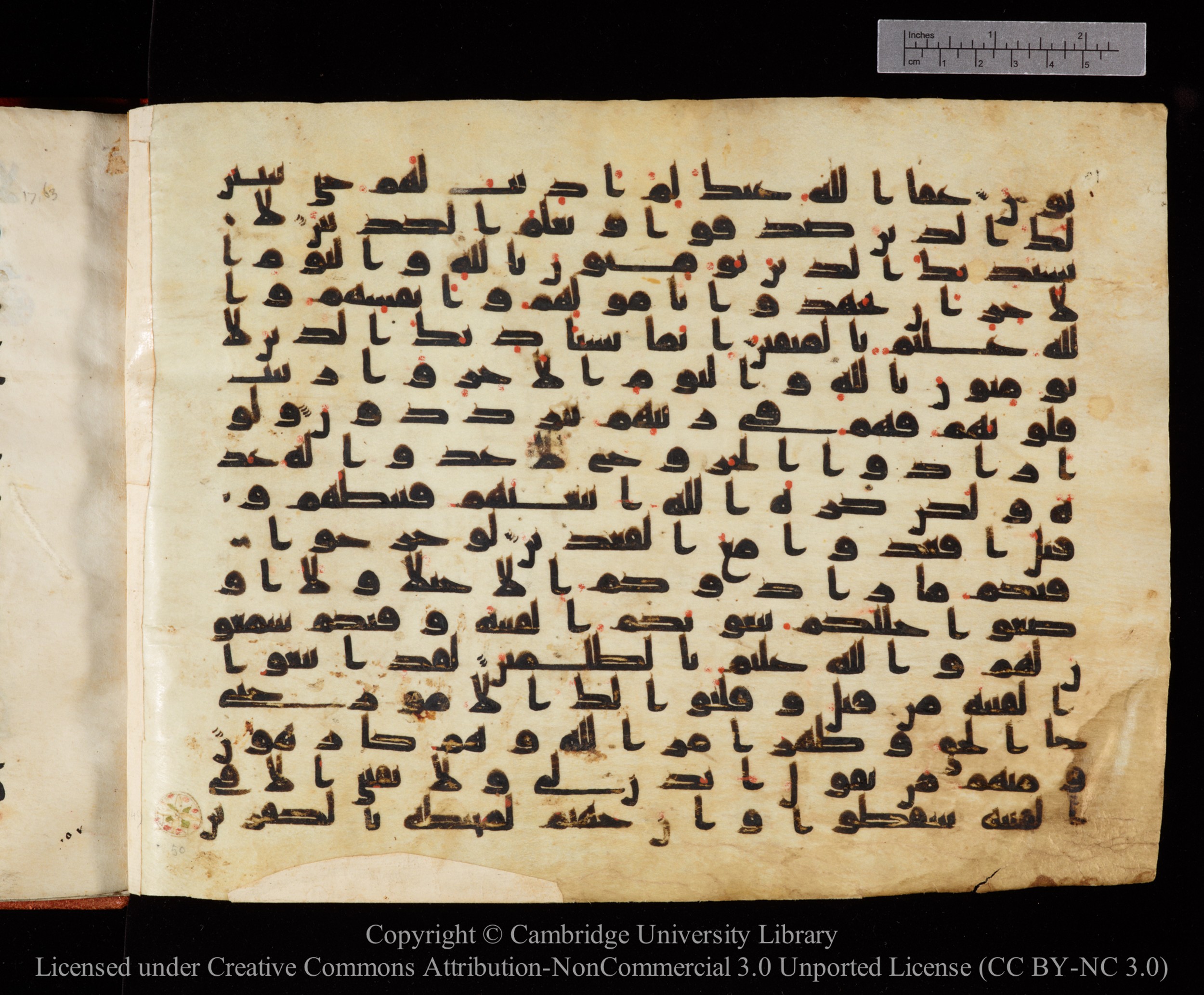 Cambridge University Library MS Or.771, in kūfī D.I script, showing Surah 9:49 from 10th to 11th Century AD found in Unknown, currently housed at Cambridge University Library, Cambridge, UK
