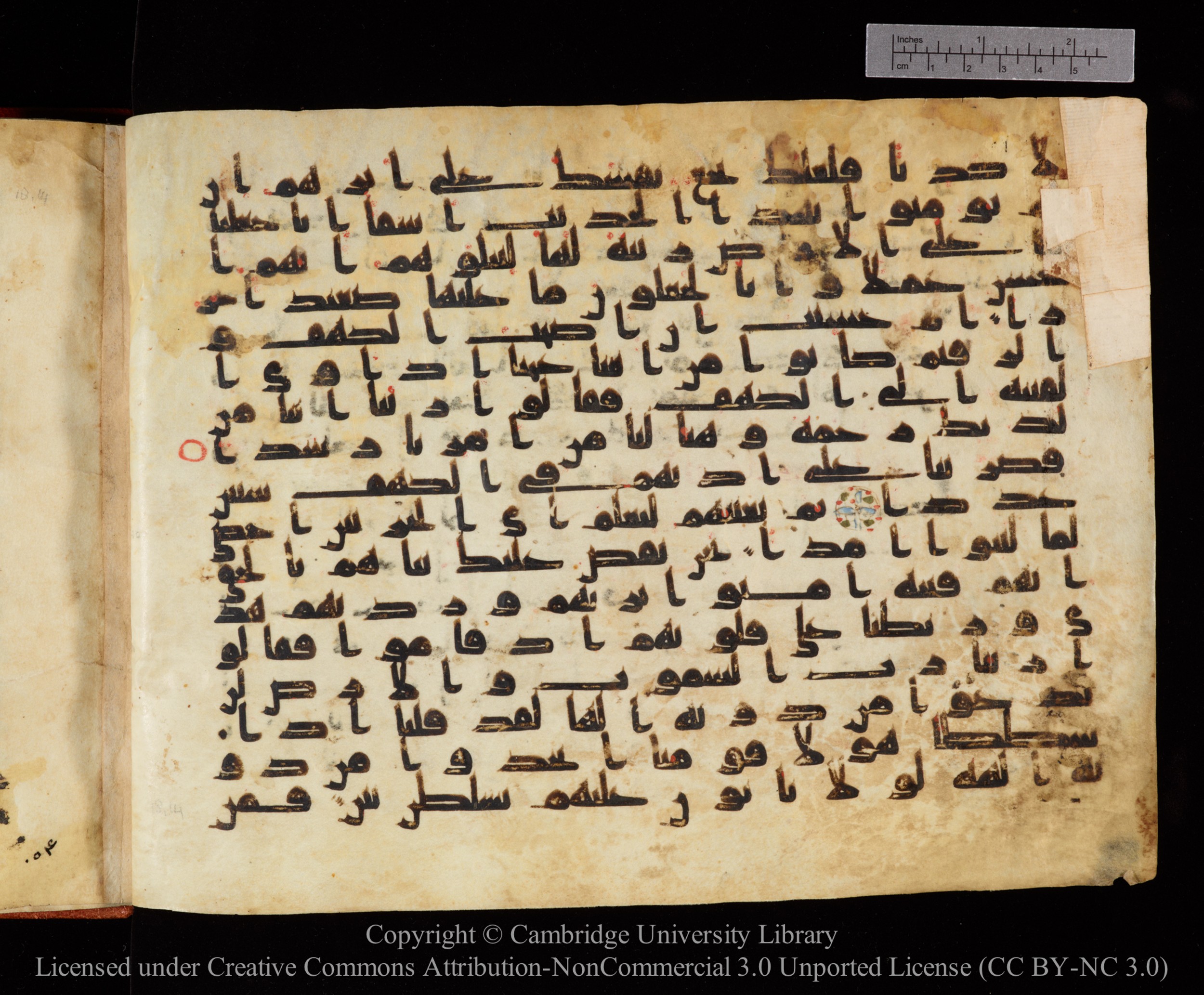 Cambridge University Library MS Or.771, in kūfī D.I script, showing Surah 18:13 from 10th to 11th Century AD found in Unknown, currently housed at Cambridge University Library, Cambridge, UK