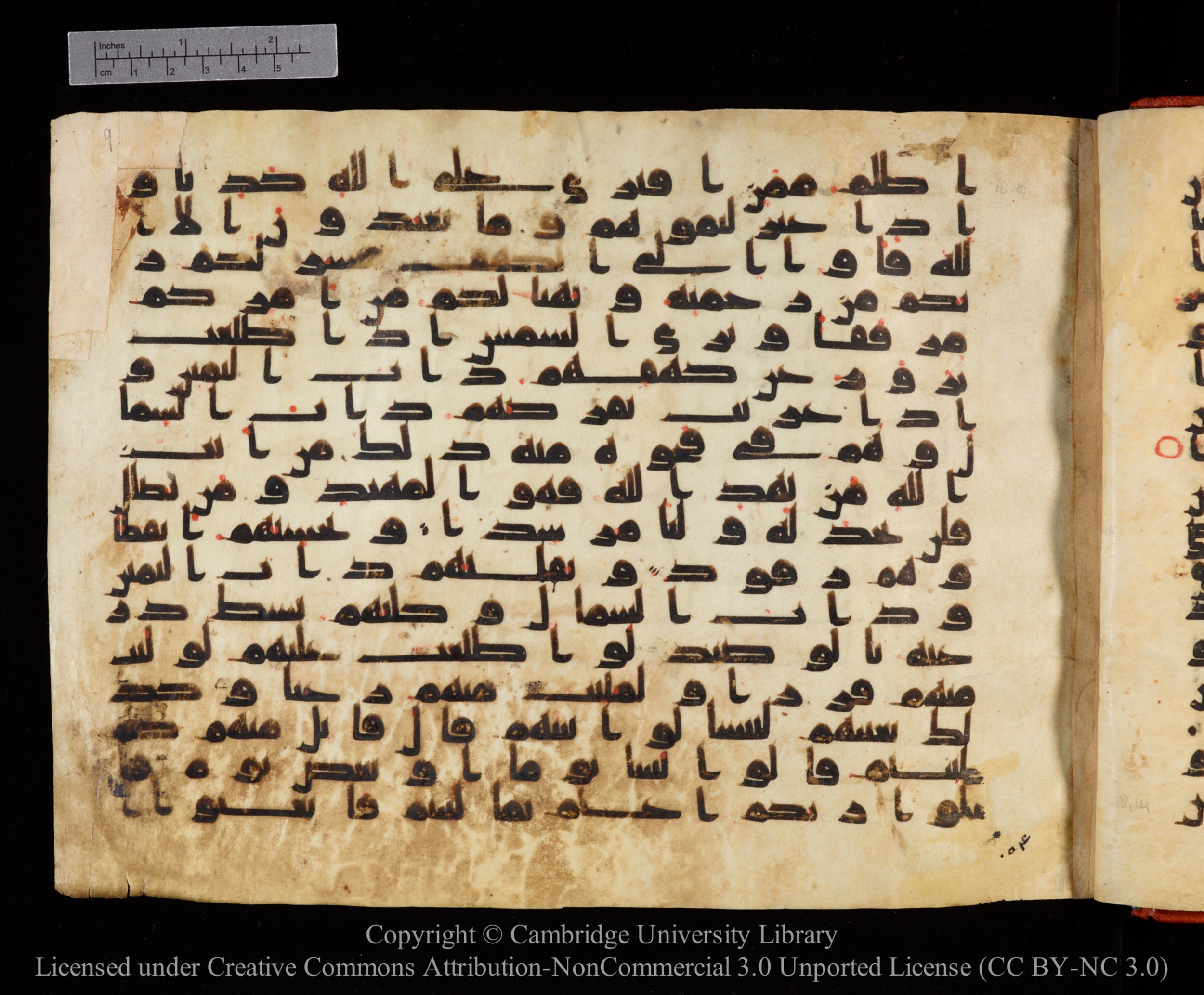 Cambridge University Library MS Or.771, in kūfī D.I script, showing Surah 18:16 from 10th to 11th Century AD found in Unknown, currently housed at Cambridge University Library, Cambridge, UK