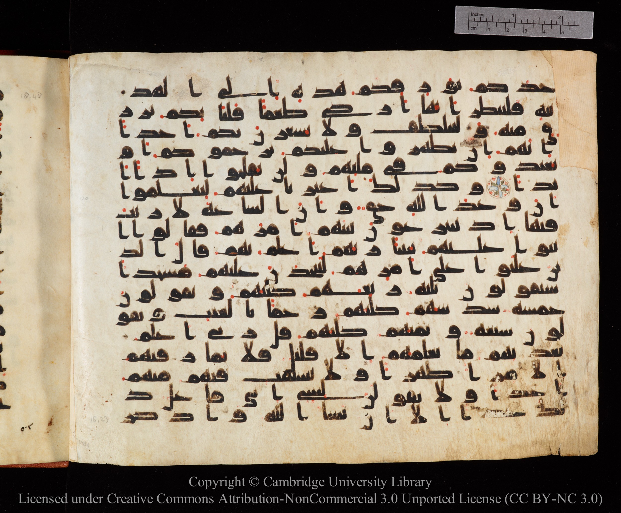 Cambridge University Library MS Or.771, in kūfī D.I script, showing Surah 18:21 from 10th to 11th Century AD found in Unknown, currently housed at Cambridge University Library, Cambridge, UK