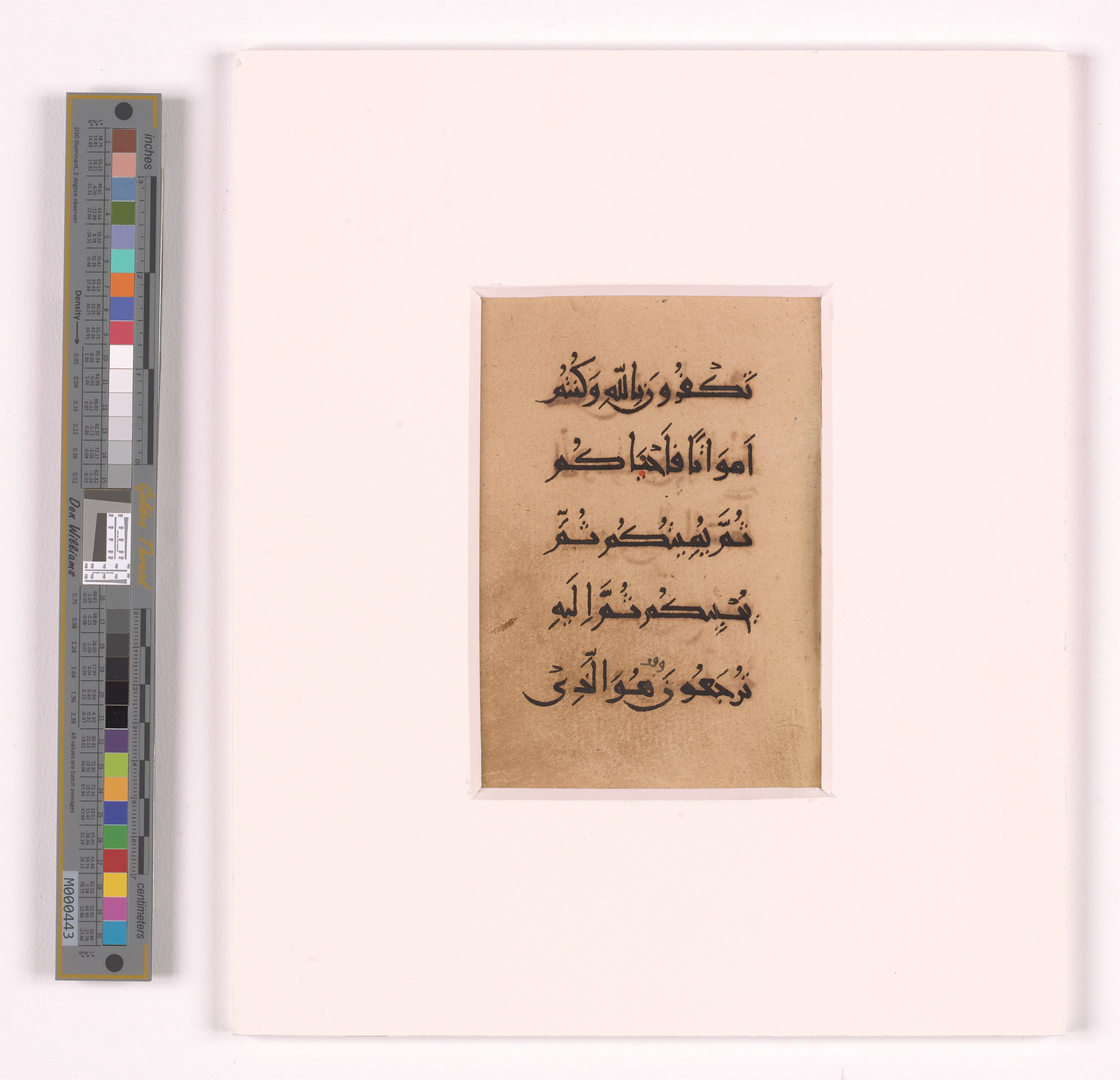 Doha, Qatar National Library, unknown call number (Scan 2), in New Style I script, showing Surah 2:28 from 11th to 13th Century AD found in Unknown, currently housed at Qatar National Library, Doha