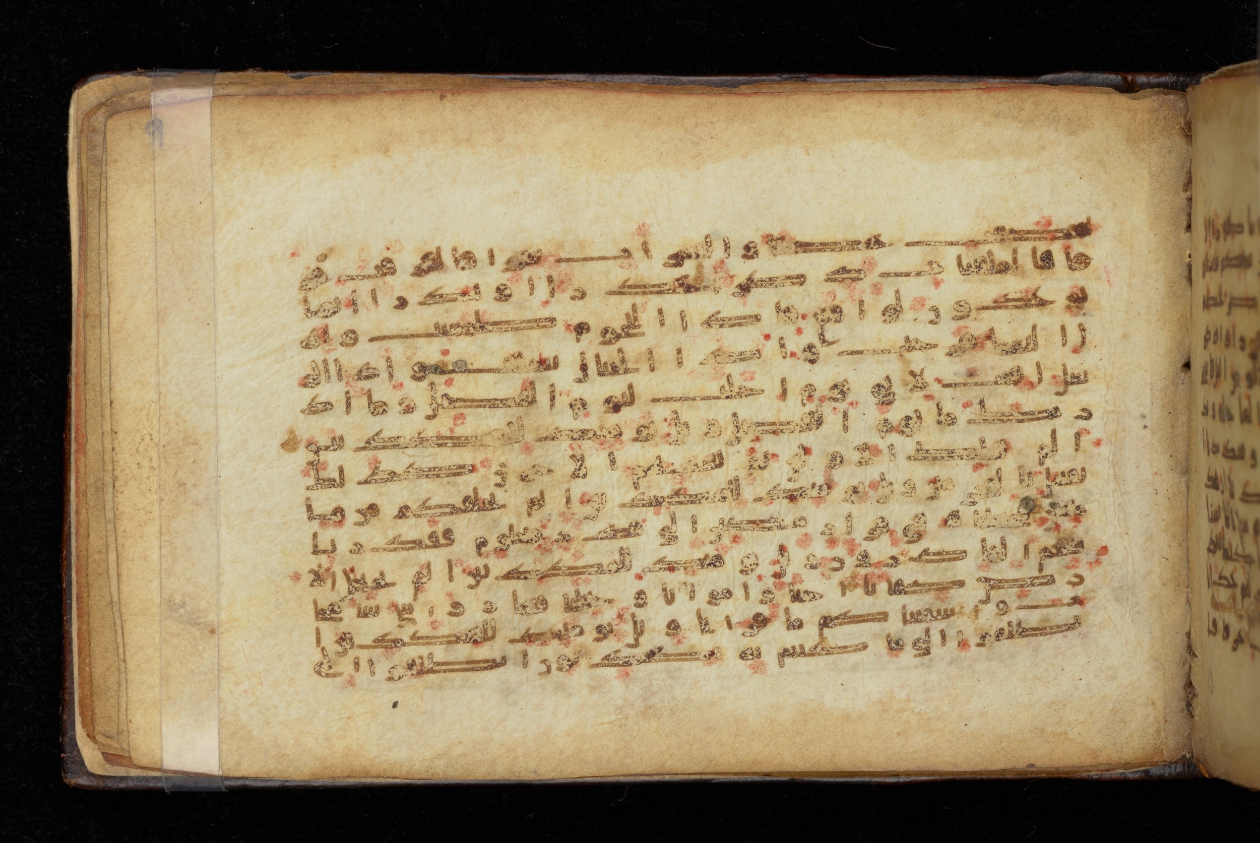 Dublin, Chester Beatty Library, Is 1414, in Kūfī script, showing Surah 77:21 from 9th Century AD found in Unknown, currently housed at Chester Beatty Library, Dublin