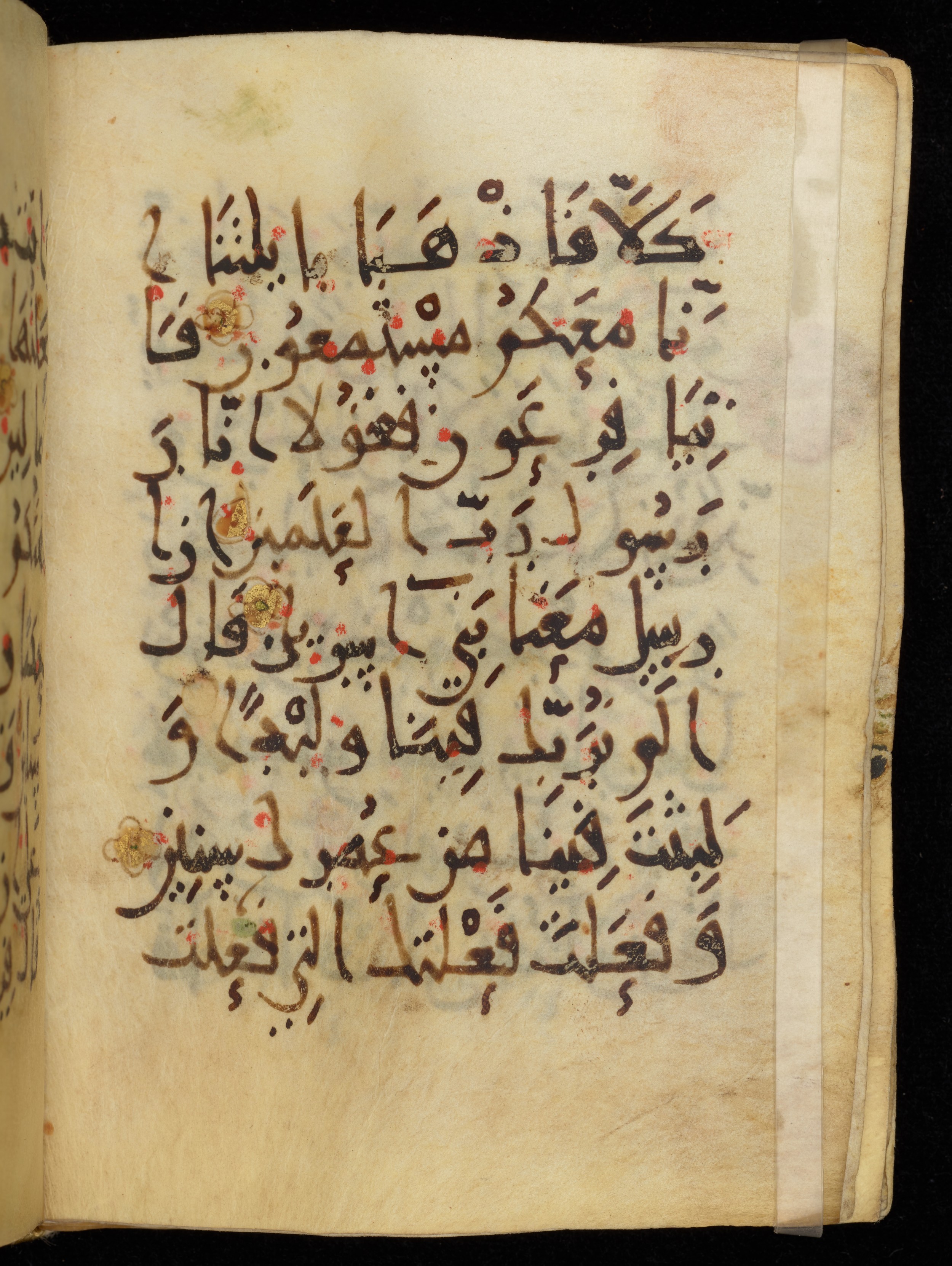 Khayqani Qurʾān (Is 1417A), in New Style III script, showing Surah 26:18 from 9th to Early 10th Century AD found in Unknown, currently housed at Chester Beatty Library, Dublin