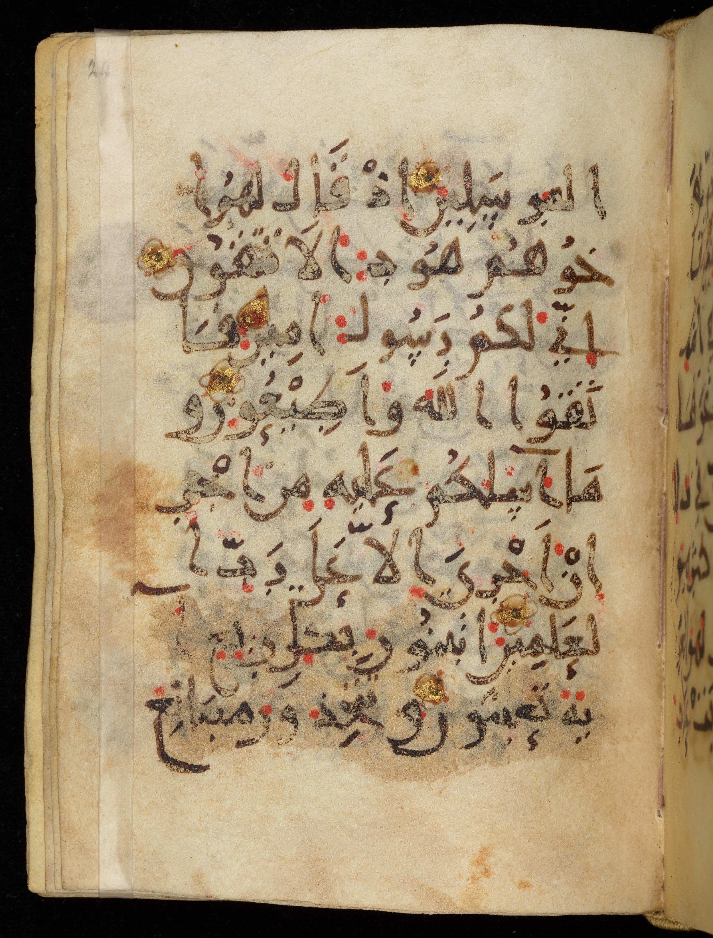 Khayqani Qurʾān (Is 1417A) (Scan 1), in New Style III script, showing Surah 26:129 from 9th to Early 10th Century AD found in Unknown, currently housed at Chester Beatty Library, Dublin
