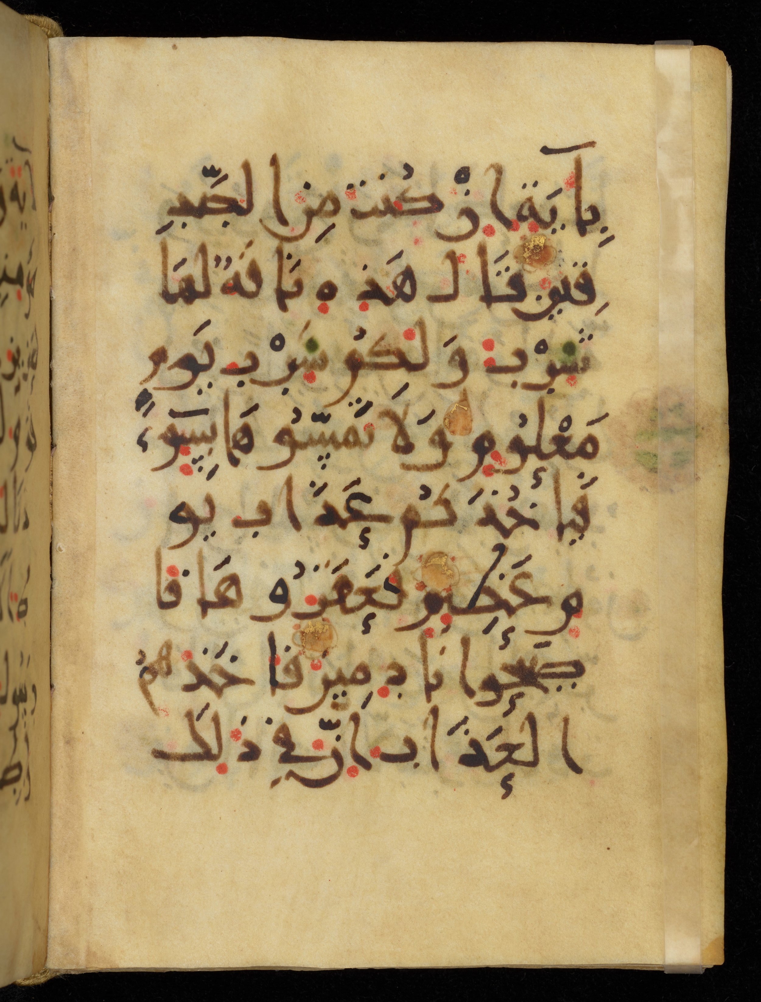 Khayqani Qurʾān (Is 1417A), in New Style III script, showing Surah 26:155 from 9th to Early 10th Century AD found in Unknown, currently housed at Chester Beatty Library, Dublin