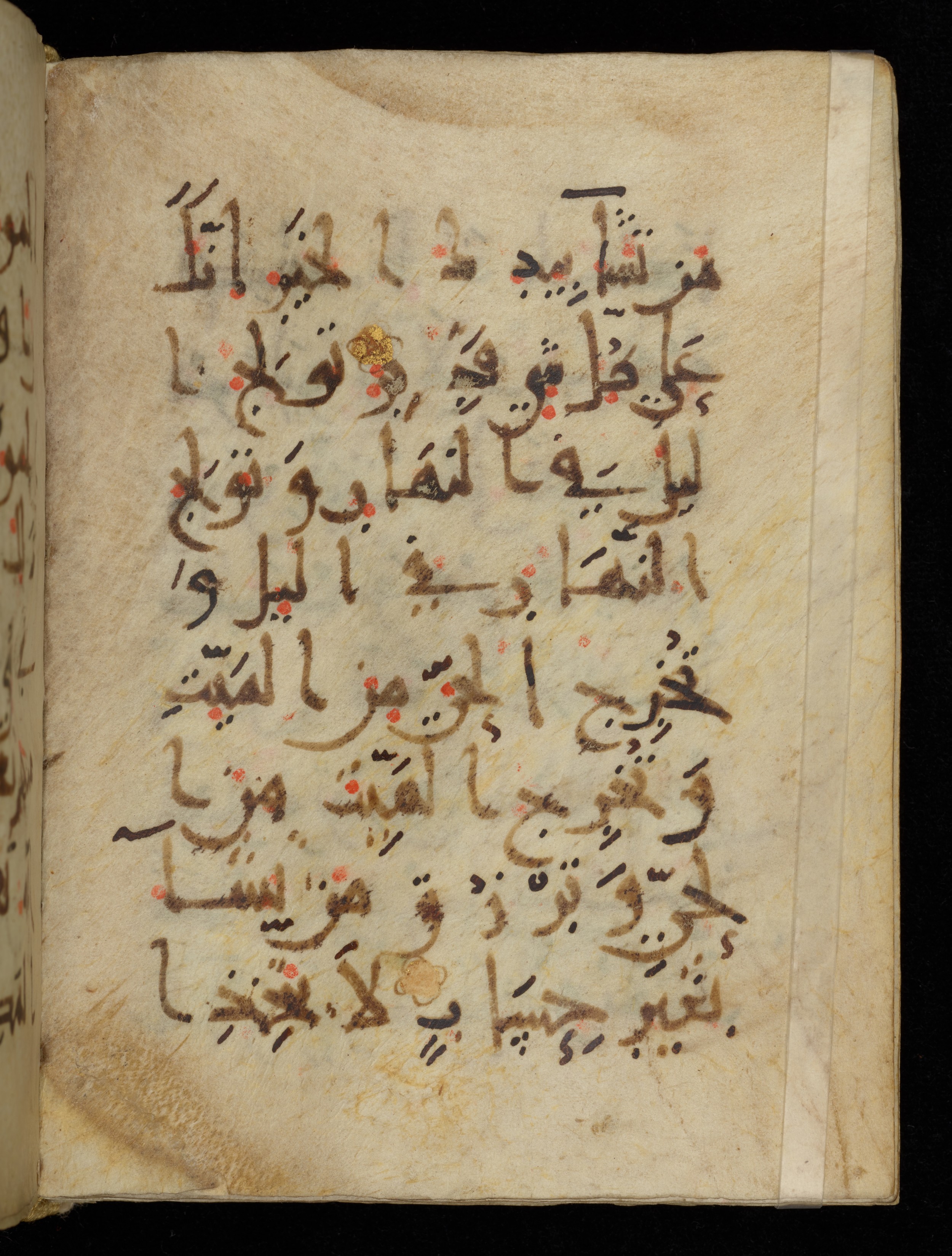 Khayqani Qurʾān (Is 1417A), in New Style III script, showing Surah 3:27 from 9th to Early 10th Century AD found in Unknown, currently housed at Chester Beatty Library, Dublin