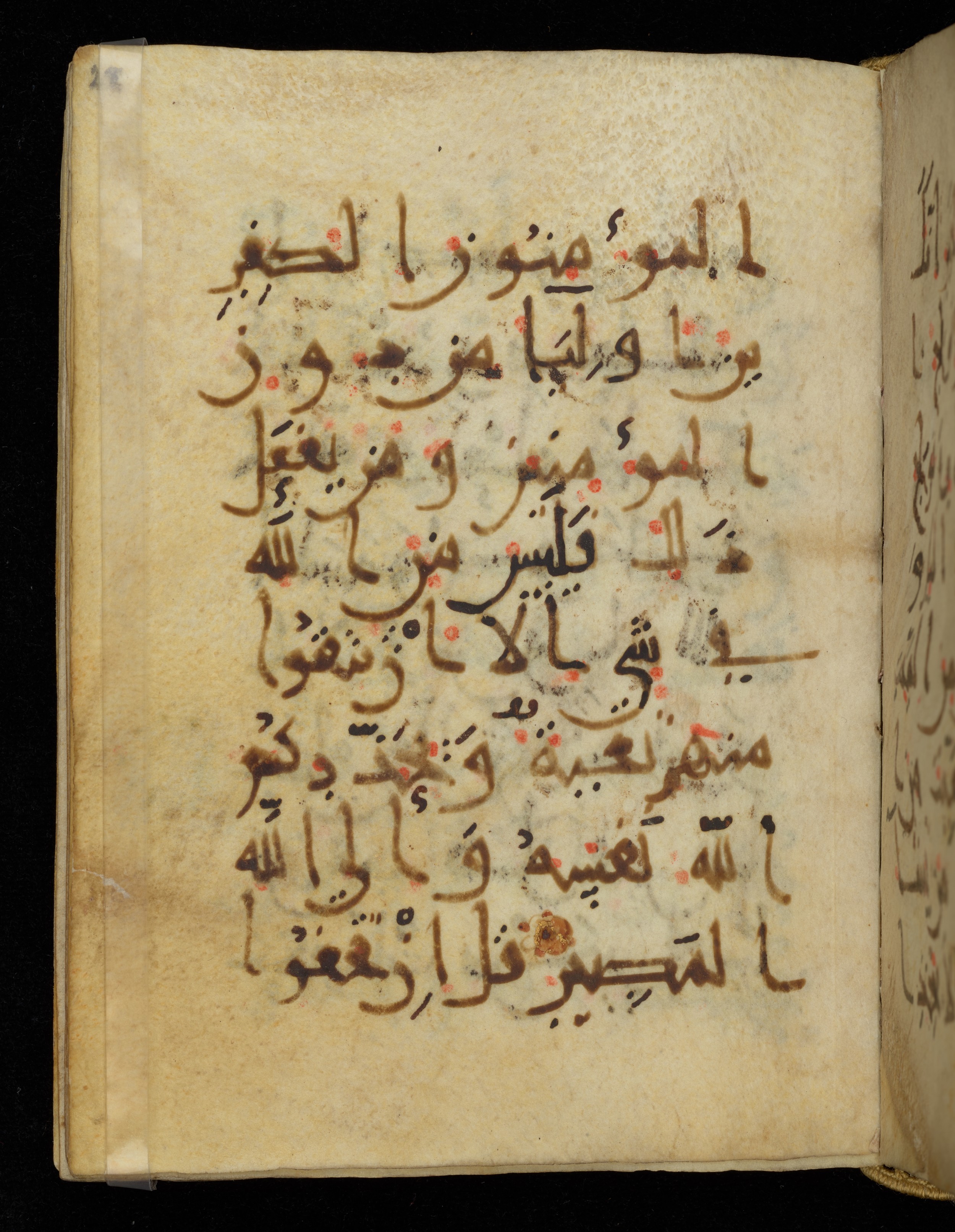 Khayqani Qurʾān (Is 1417A) (Scan 1), in New Style III script, showing Surah 3:29 from 9th to Early 10th Century AD found in Unknown, currently housed at Chester Beatty Library, Dublin