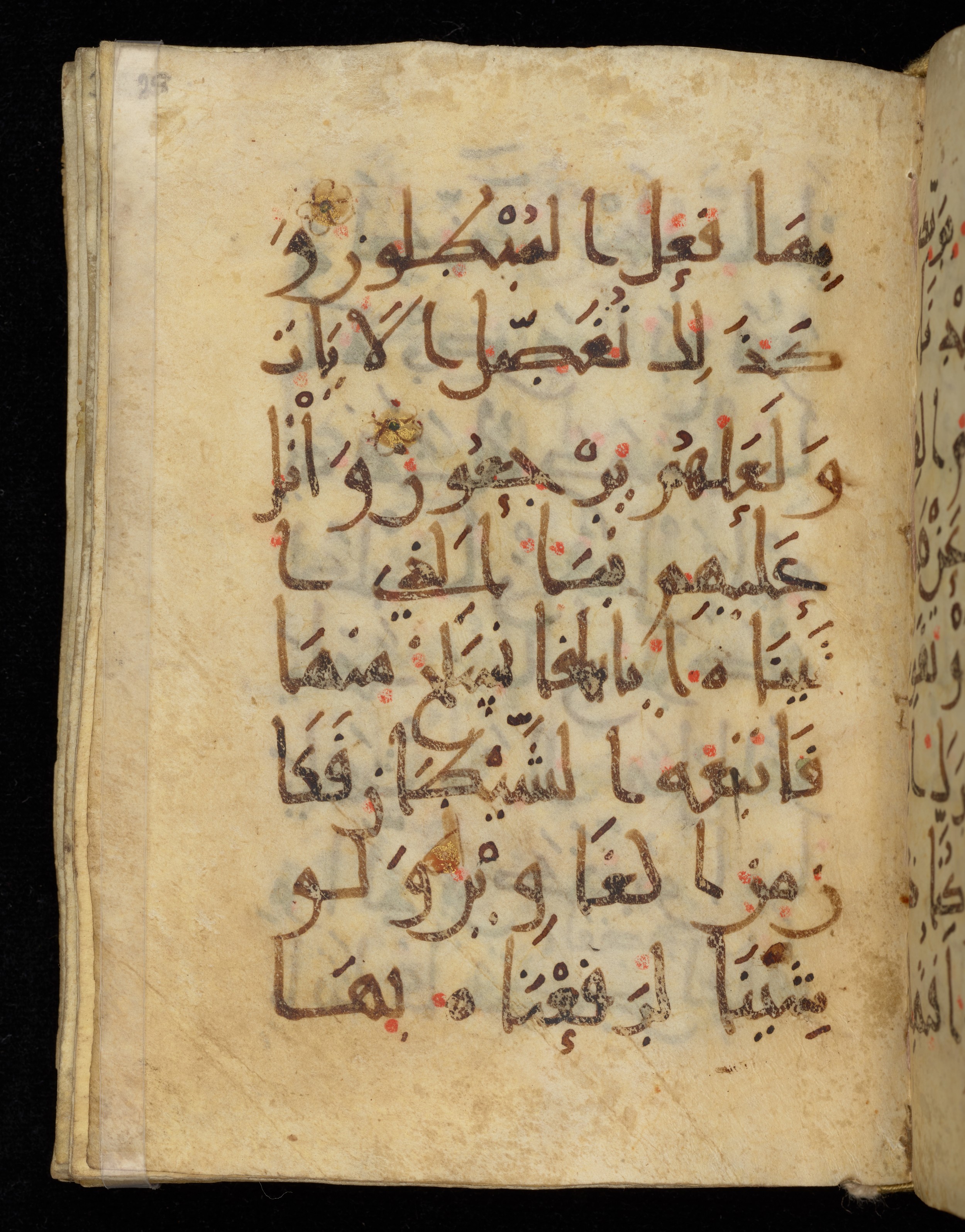 Khayqani Qurʾān (Is 1417A), in New Style III script, showing Surah 7:175 from 9th to Early 10th Century AD found in Unknown, currently housed at Chester Beatty Library, Dublin