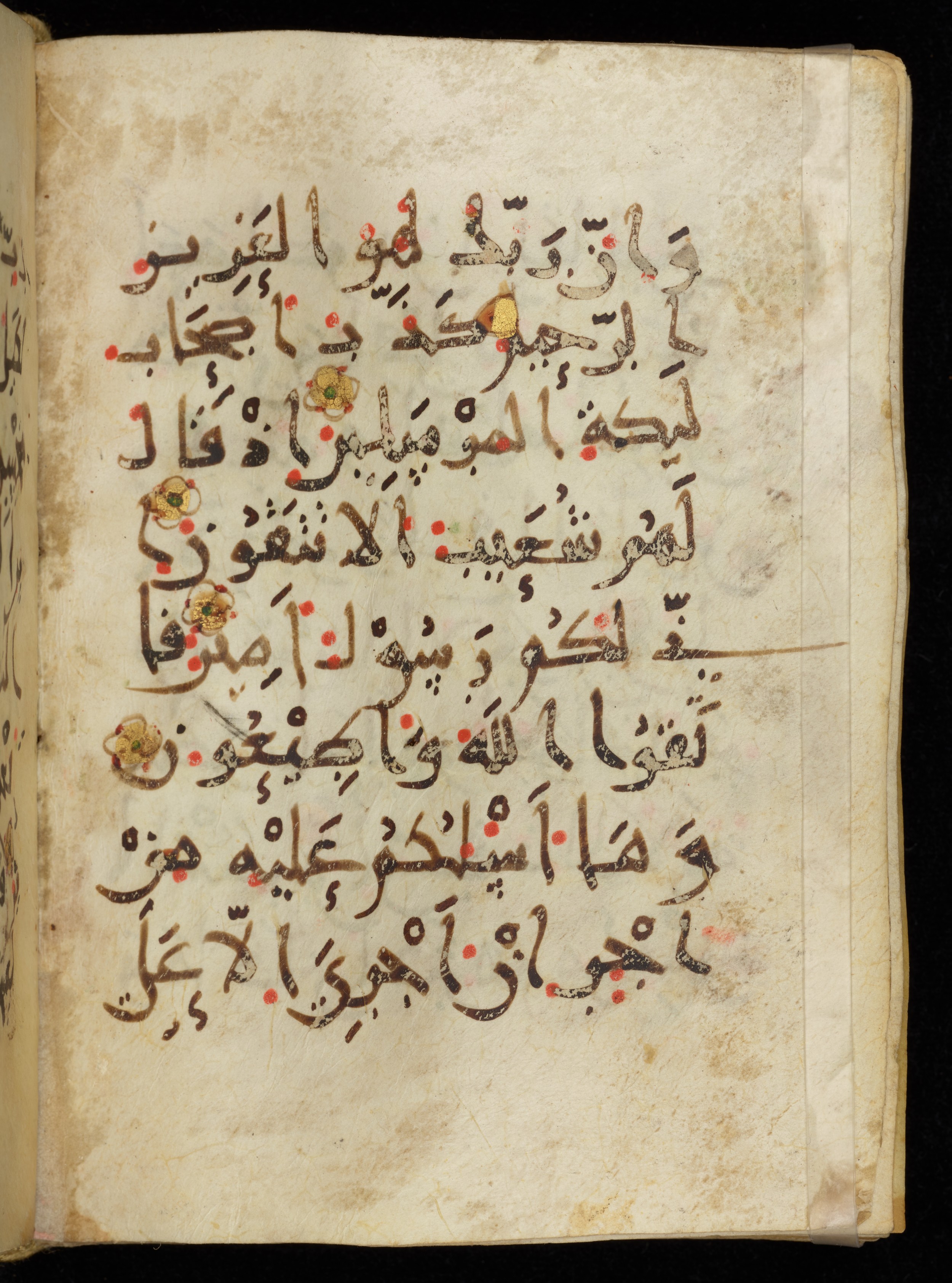 Khayqani Qurʾān (Is 1417A), in New Style III script, showing Surah 26:175 from 9th to Early 10th Century AD found in Unknown, currently housed at Chester Beatty Library, Dublin