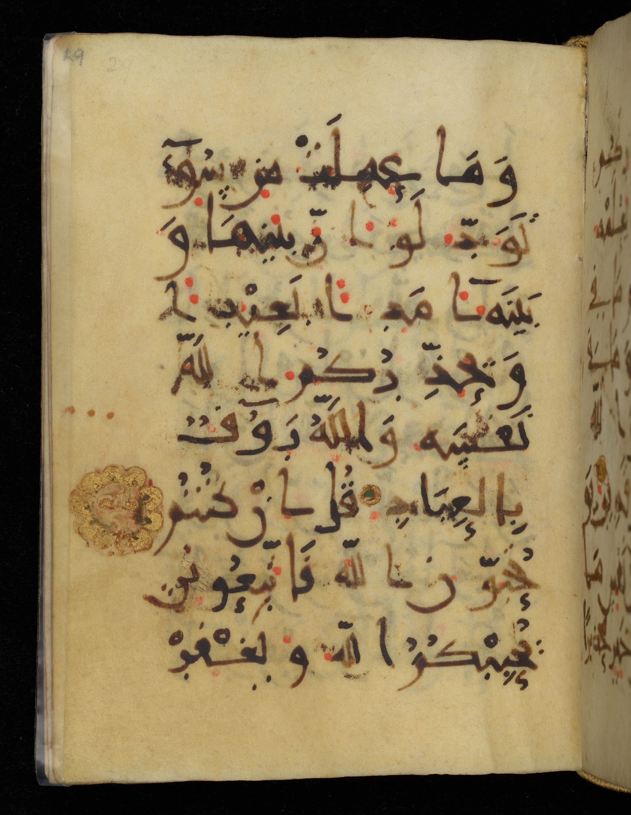 Khayqani Qurʾān (Is 1417A) (Scan 2), in New Style III script, showing Surah 3:30 from 9th to Early 10th Century AD found in Unknown, currently housed at Chester Beatty Library, Dublin
