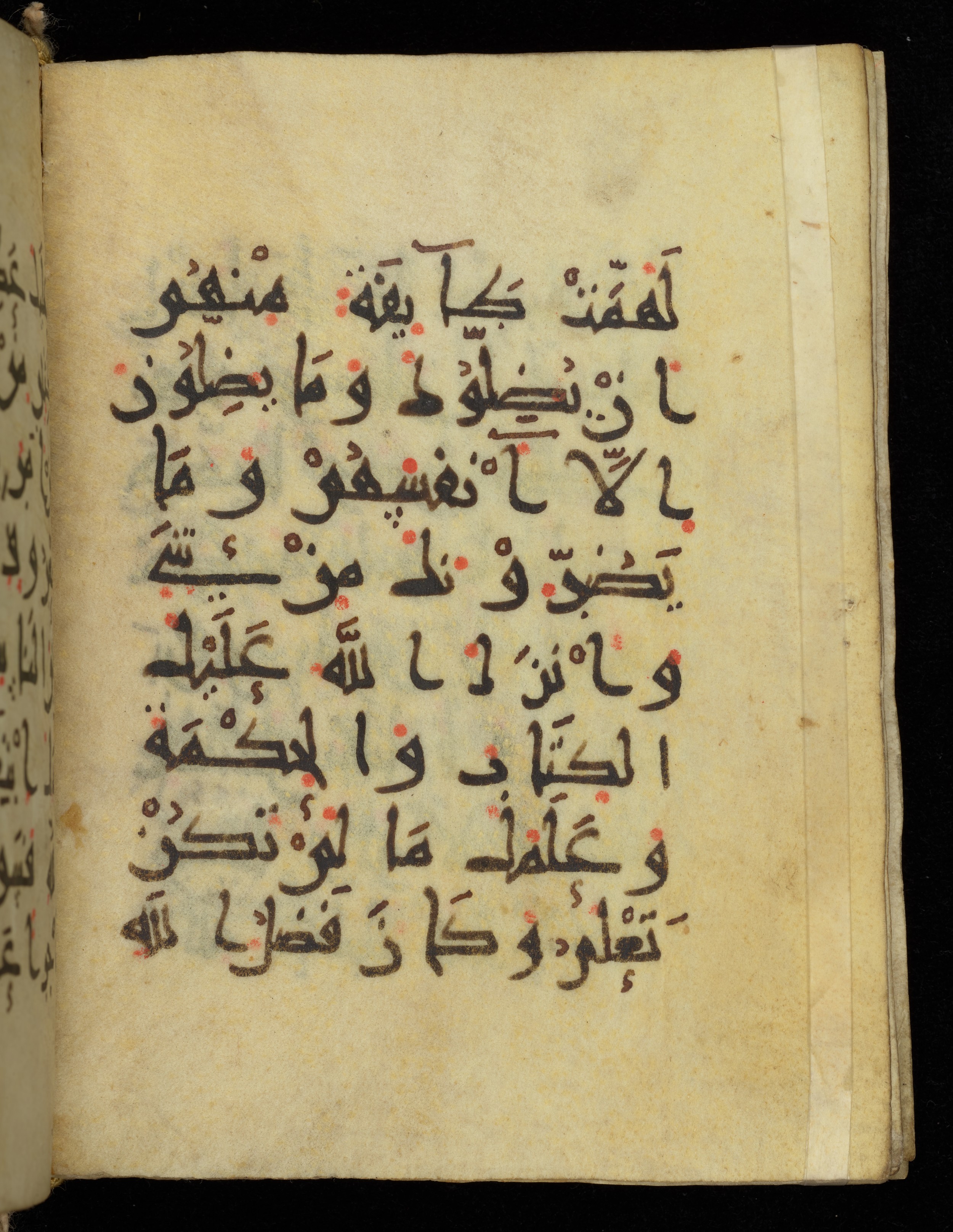 Khayqani Qurʾān (Is 1417A) (Scan 2), in New Style III script, showing Surah 4:113 from 9th to Early 10th Century AD found in Unknown, currently housed at Chester Beatty Library, Dublin