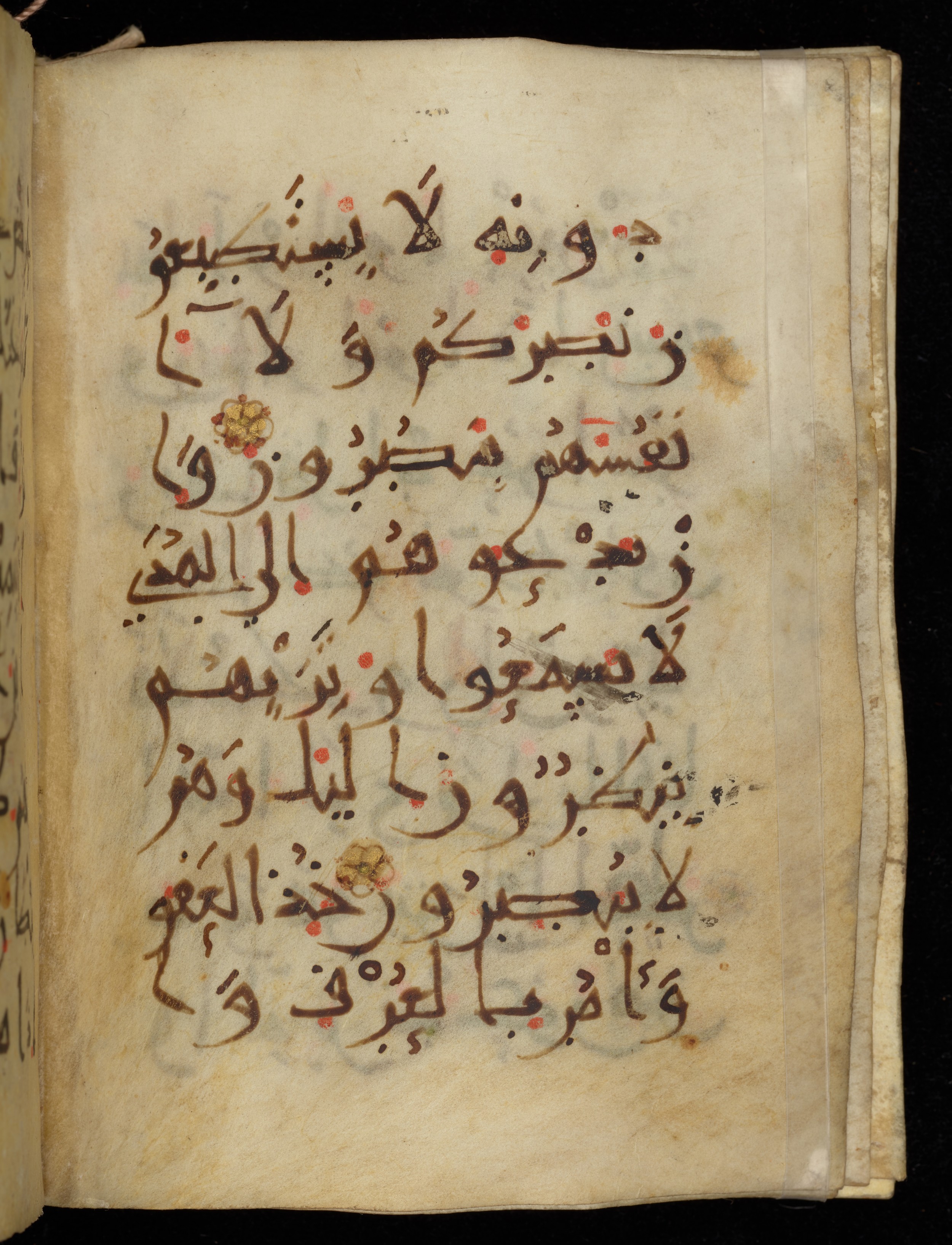 Khayqani Qurʾān (Is 1417A) (Scan 1), in New Style III script, showing Surah 7:199 from 9th to Early 10th Century AD found in Unknown, currently housed at Chester Beatty Library, Dublin