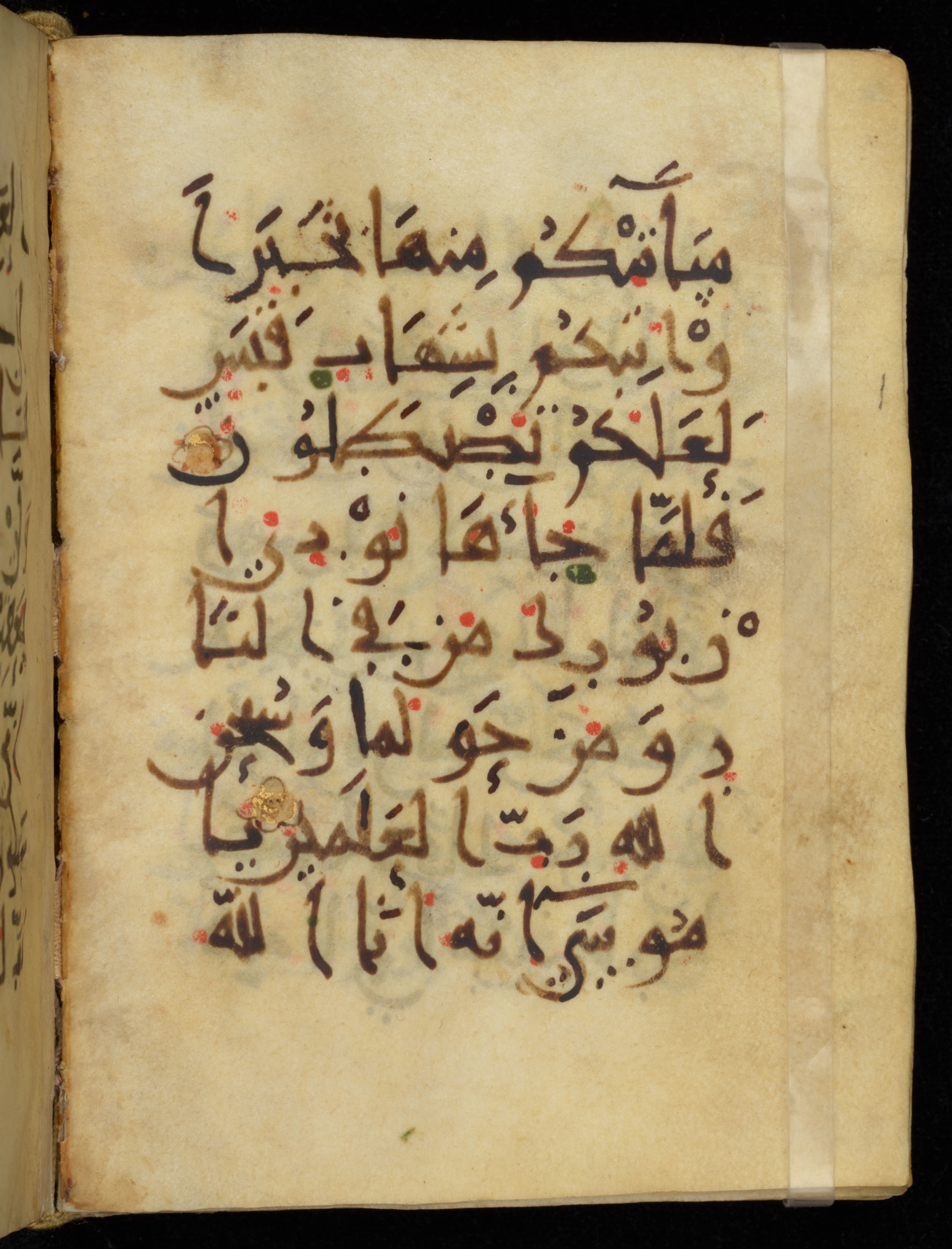 Khayqani Qurʾān (Is 1417A) (Scan 2), in New Style III script, showing Surah 27:7 from 9th to Early 10th Century AD found in Unknown, currently housed at Chester Beatty Library, Dublin