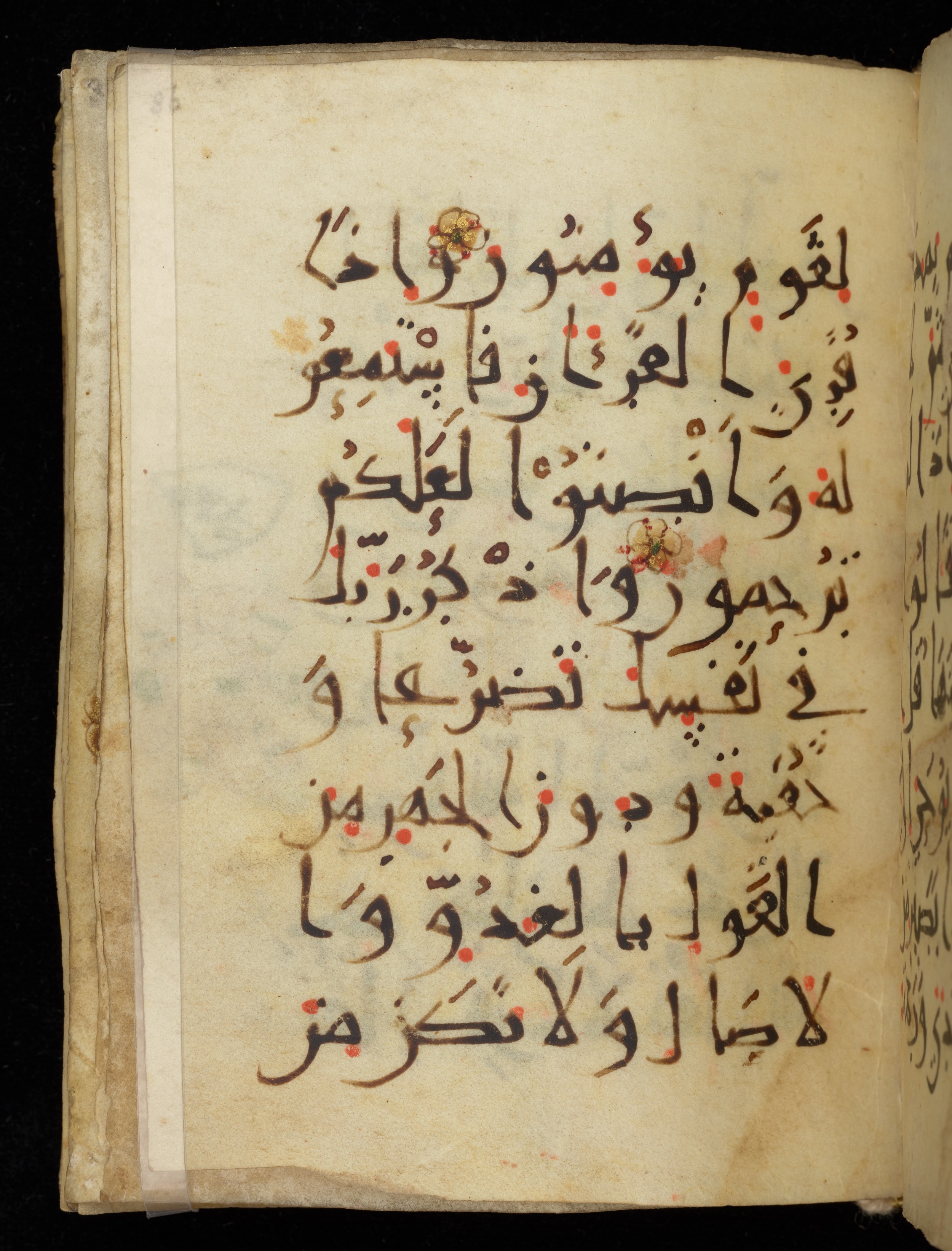 Khayqani Qurʾān (Is 1417A) (Scan 1), in New Style III script, showing Surah 7:205 from 9th to Early 10th Century AD found in Unknown, currently housed at Chester Beatty Library, Dublin