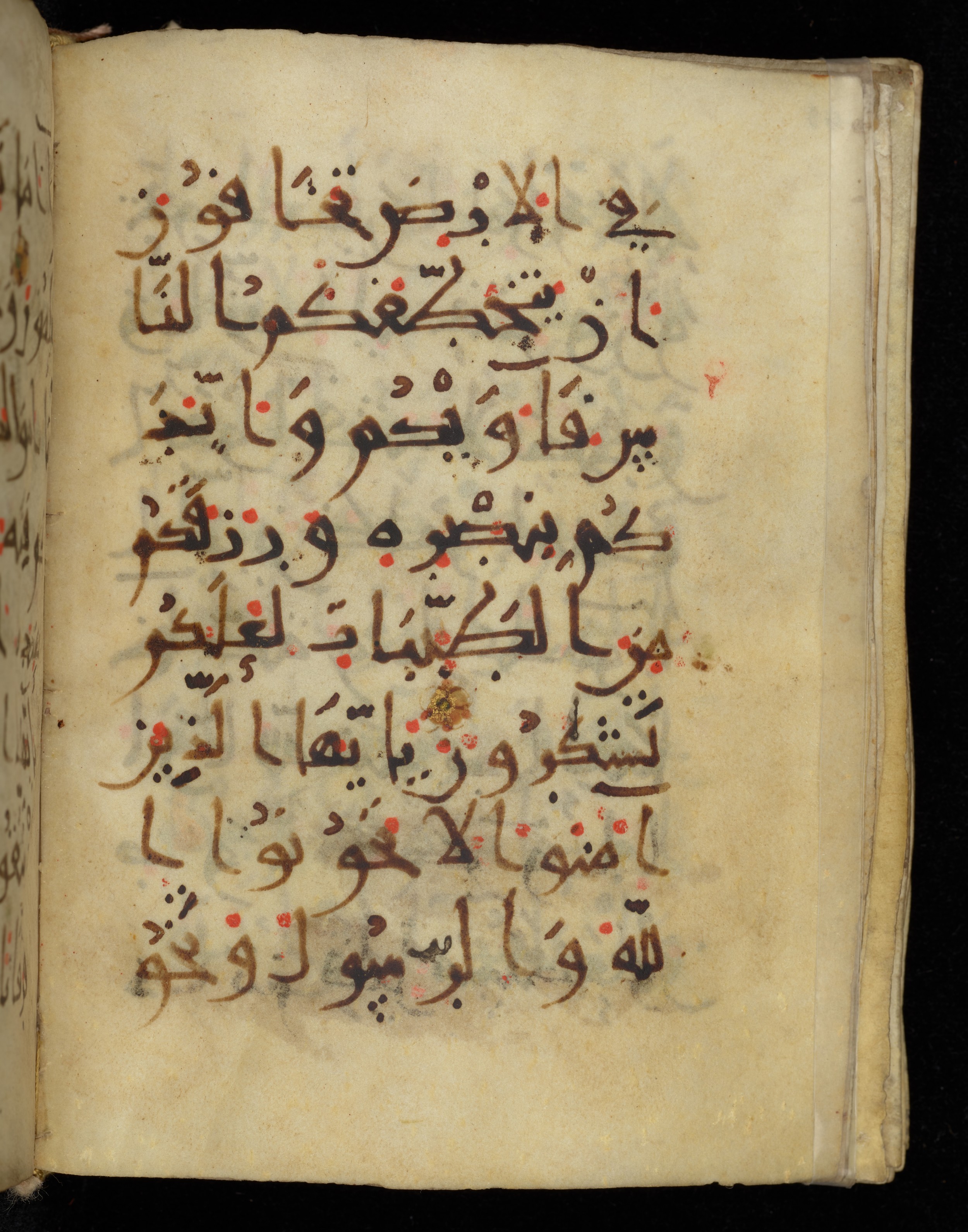 Khayqani Qurʾān (Is 1417A) (Scan 1), in New Style III script, showing Surah 8:27 from 9th to Early 10th Century AD found in Unknown, currently housed at Chester Beatty Library, Dublin