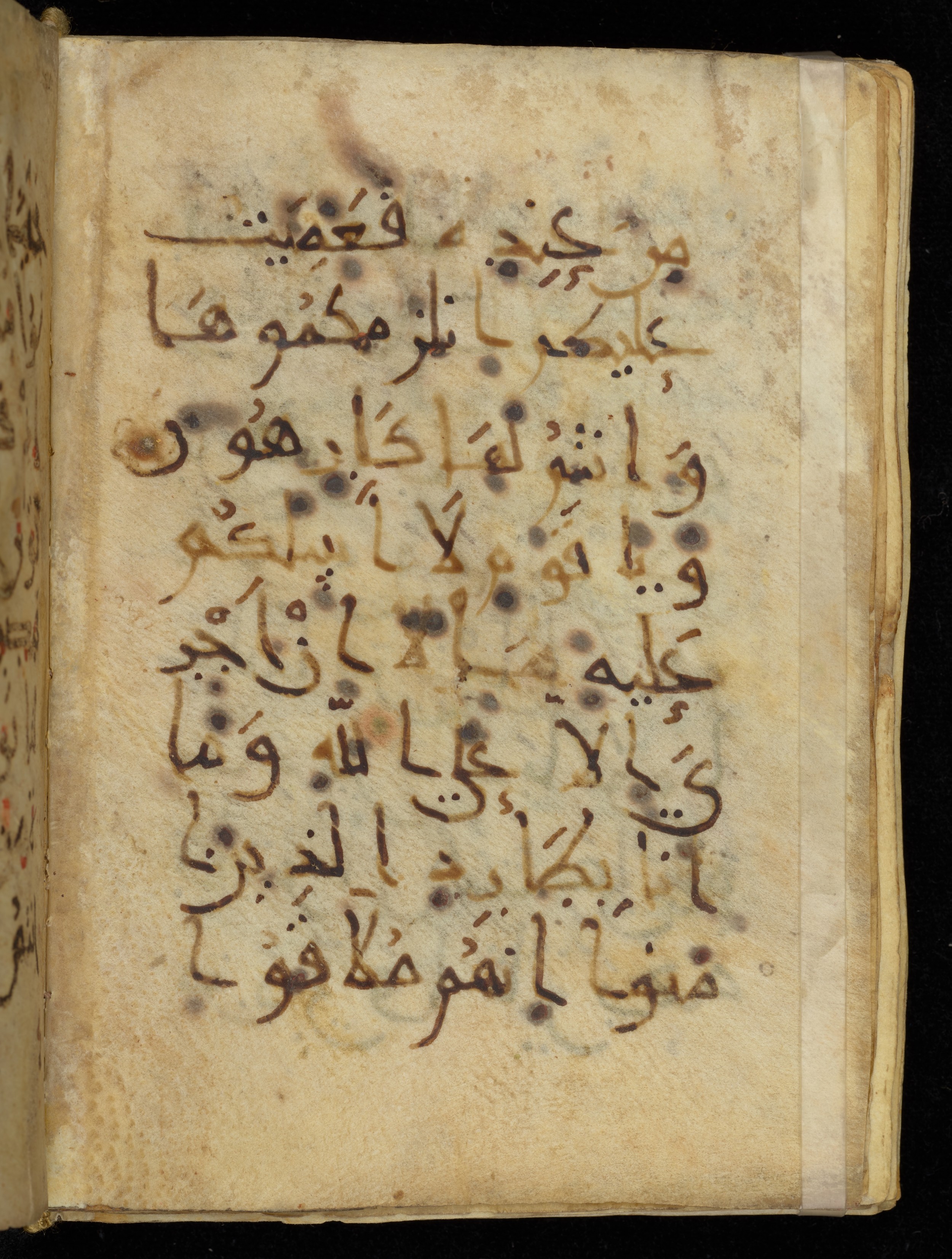Khayqani Qurʾān (Is 1417A), in New Style III script, showing Surah 11:29 from 9th to Early 10th Century AD found in Unknown, currently housed at Chester Beatty Library, Dublin