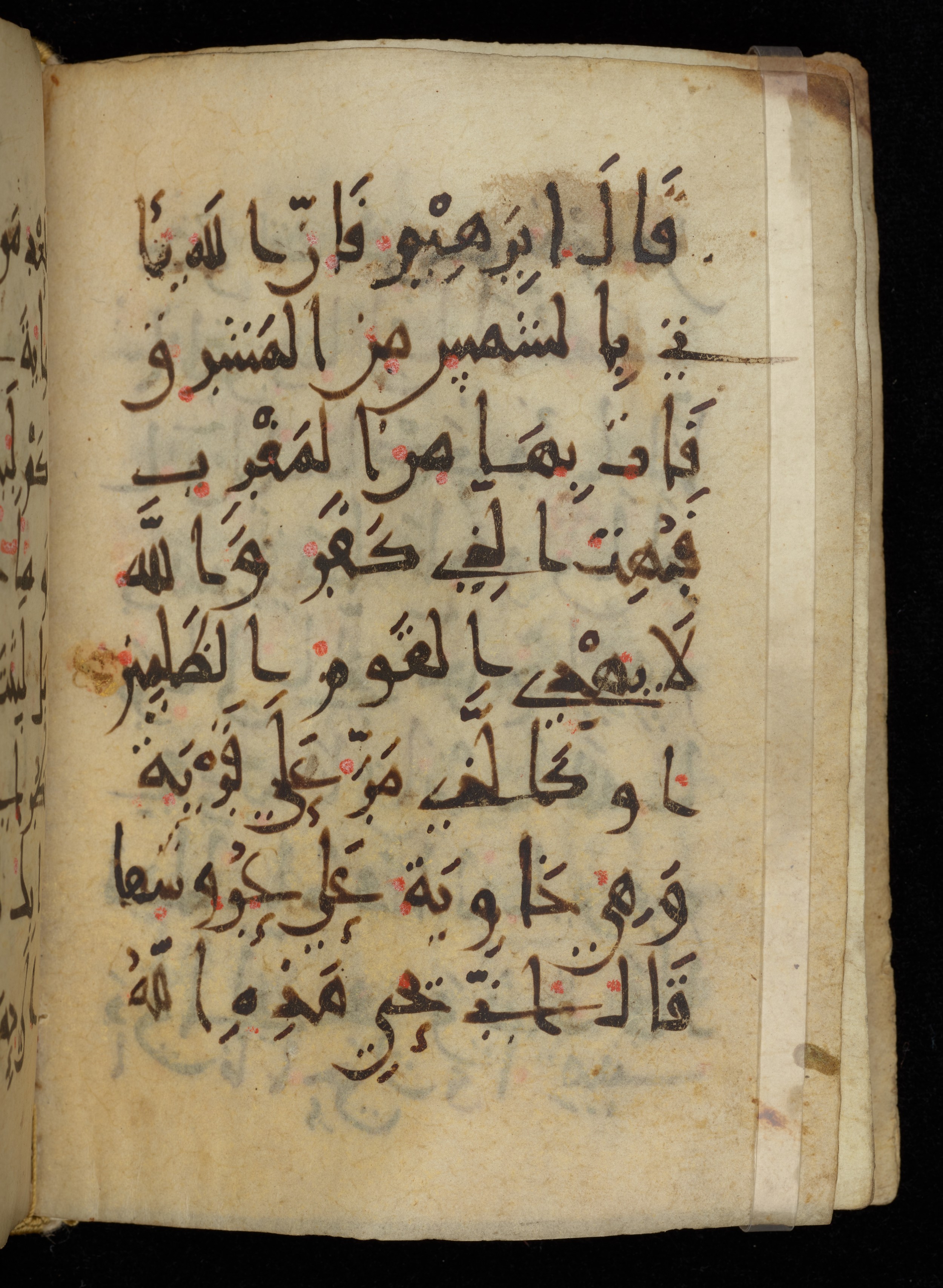 Khayqani Qurʾān (Is 1417A) (Scan 1), in New Style III script, showing Surah 2:259 from 9th to Early 10th Century AD found in Unknown, currently housed at Chester Beatty Library, Dublin