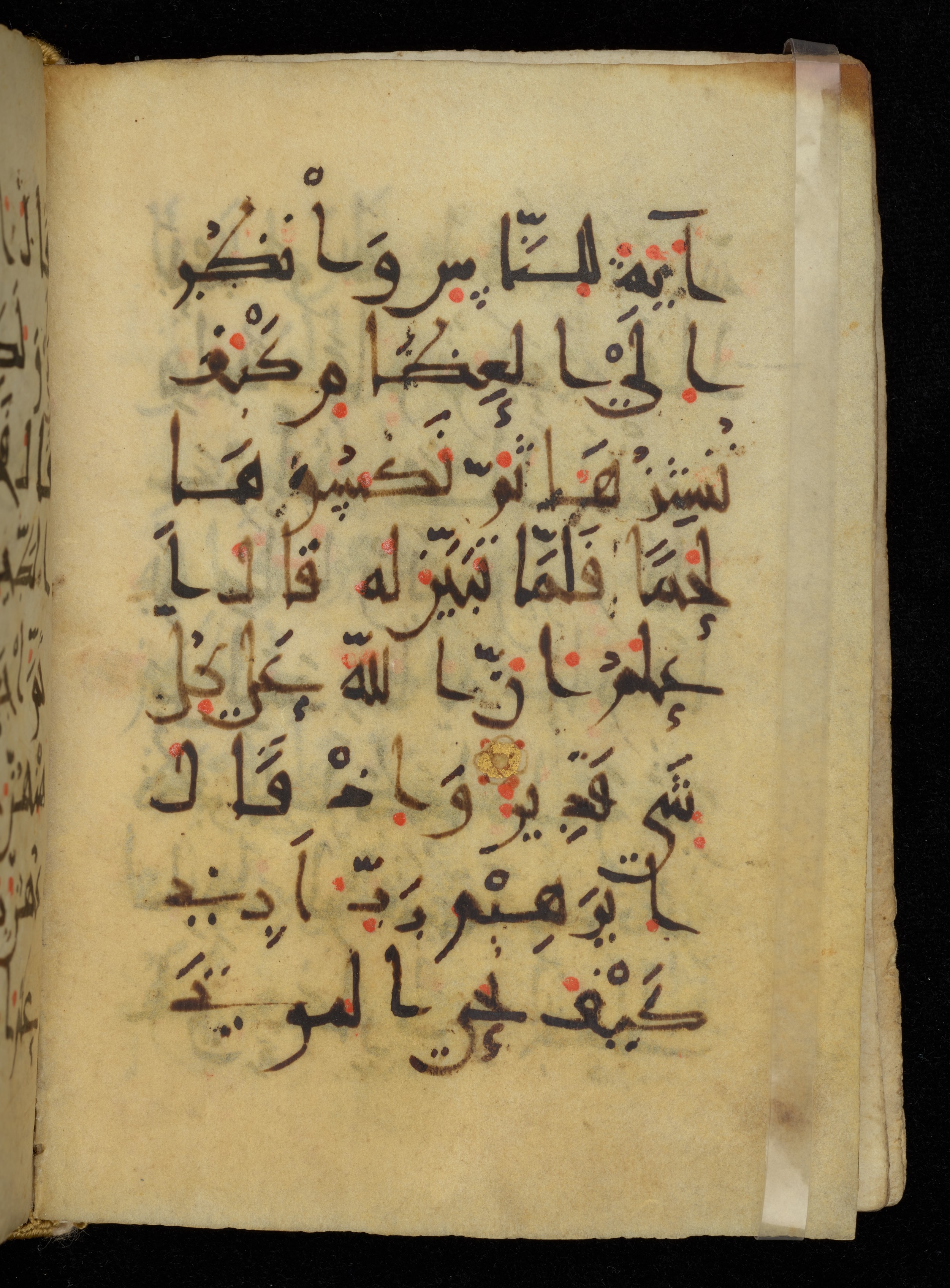 Khayqani Qurʾān (Is 1417A) (Scan 3), in New Style III script, showing Surah 2:259 from 9th to Early 10th Century AD found in Unknown, currently housed at Chester Beatty Library, Dublin