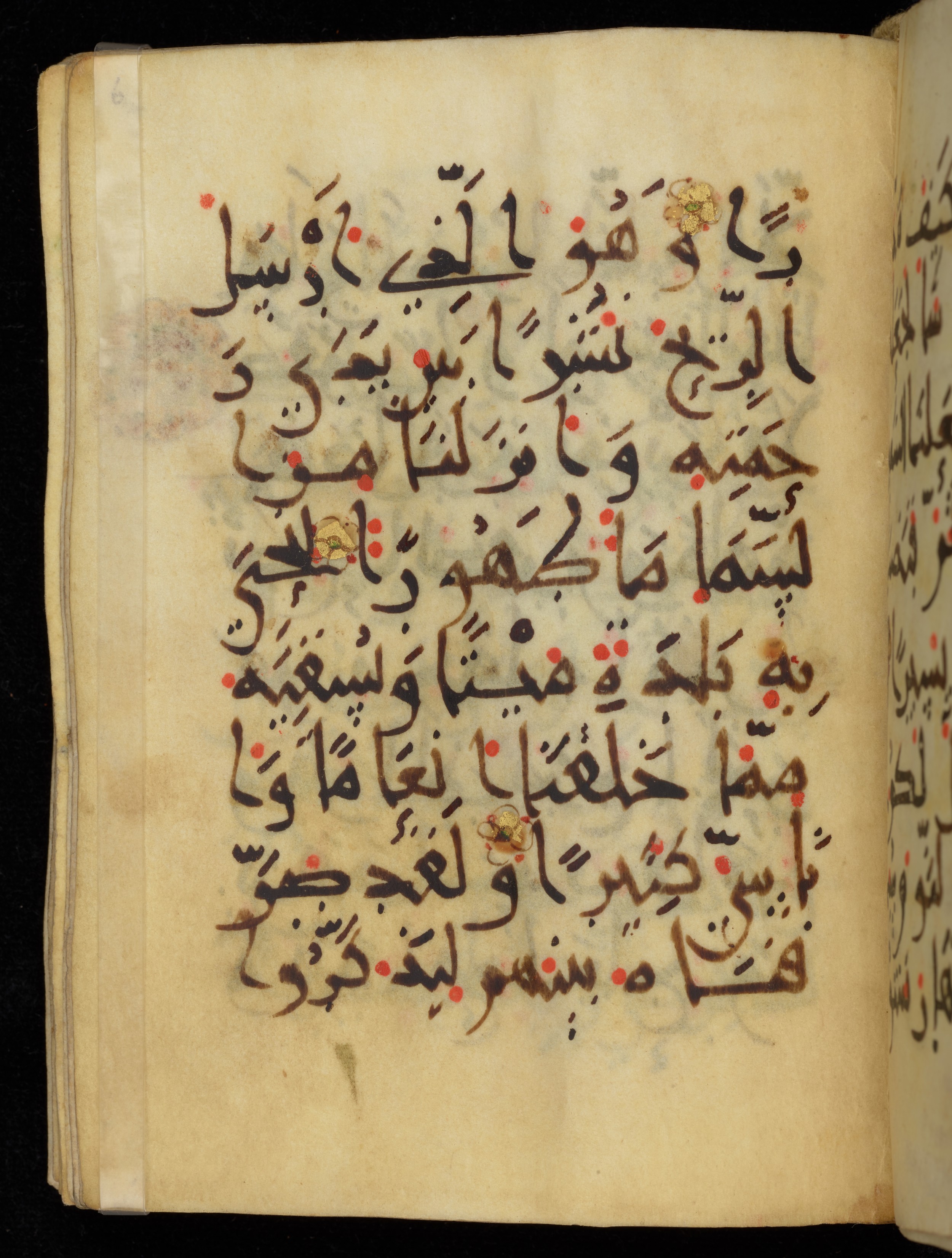 Khayqani Qurʾān (Is 1417A) (Scan 2), in New Style III script, showing Surah 25:47 from 9th to Early 10th Century AD found in Unknown, currently housed at Chester Beatty Library, Dublin