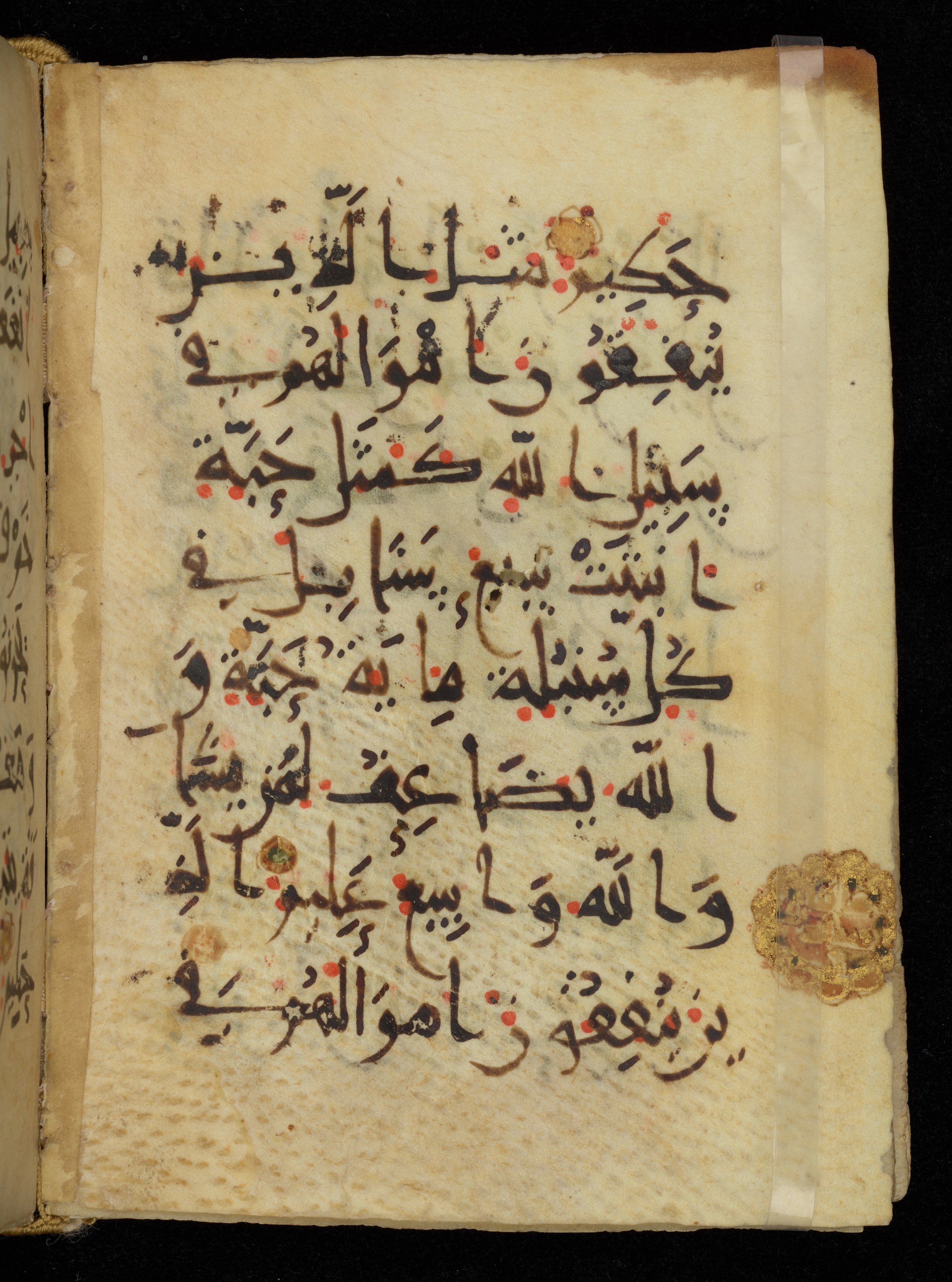 Khayqani Qurʾān (Is 1417A) (Scan 1), in New Style III script, showing Surah 2:262 from 9th to Early 10th Century AD found in Unknown, currently housed at Chester Beatty Library, Dublin