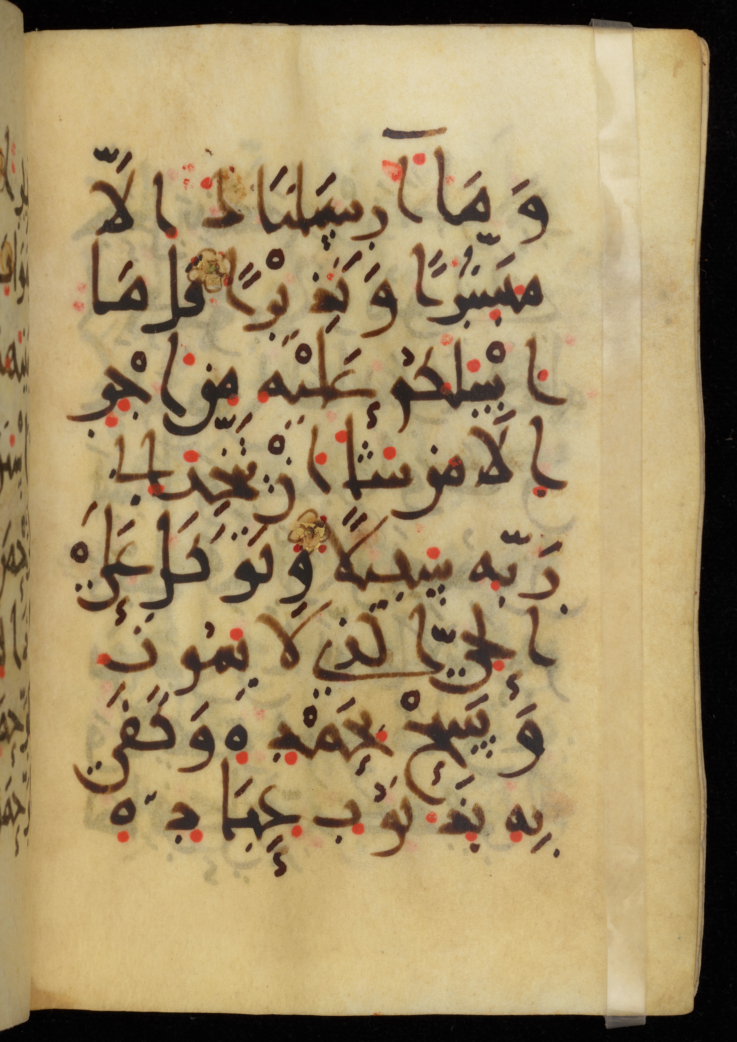 Khayqani Qurʾān (Is 1417A), in New Style III script, showing Surah 25:56 from 9th to Early 10th Century AD found in Unknown, currently housed at Chester Beatty Library, Dublin
