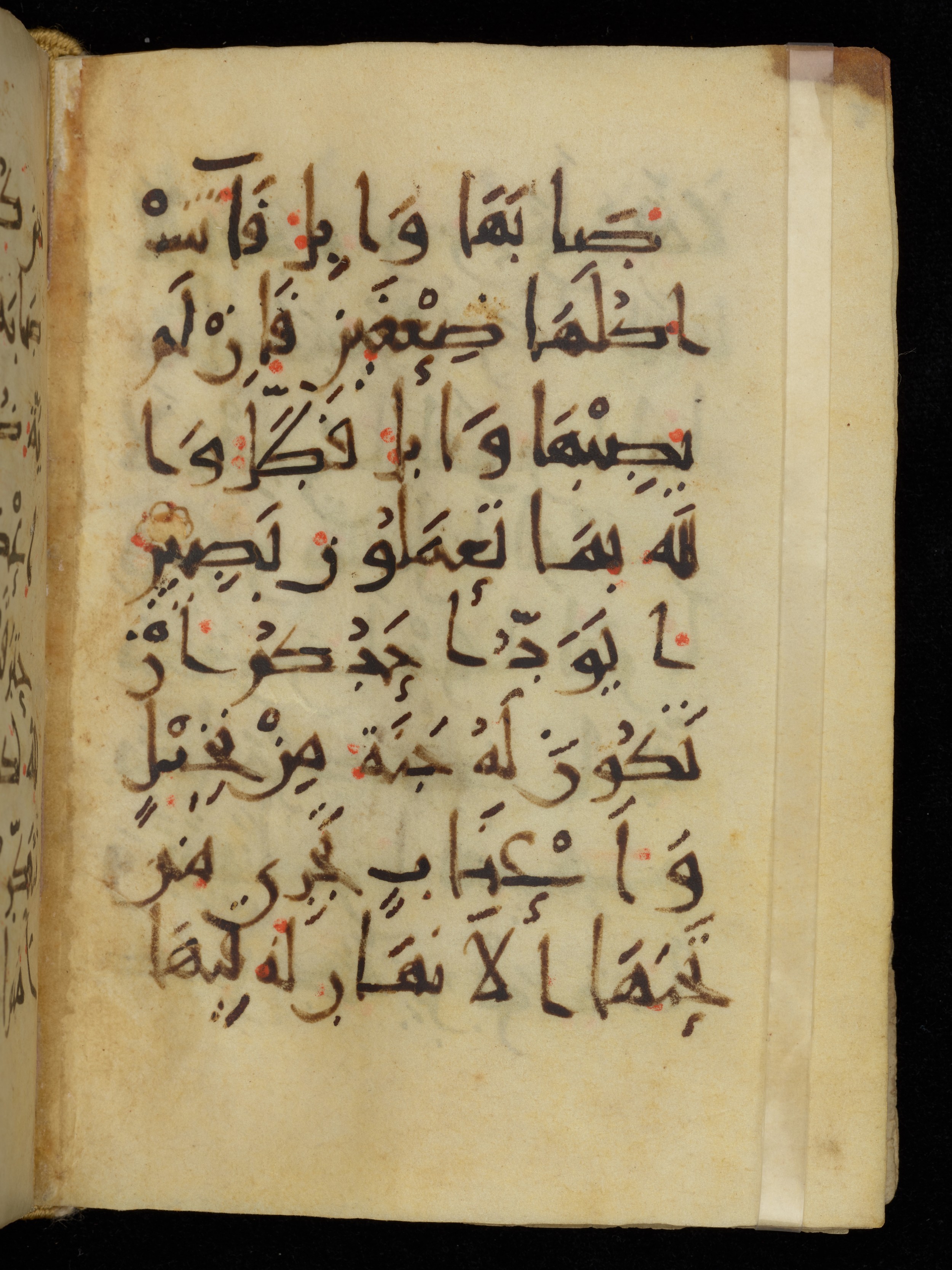 Khayqani Qurʾān (Is 1417A) (Scan 1), in New Style III script, showing Surah 2:266 from 9th to Early 10th Century AD found in Unknown, currently housed at Chester Beatty Library, Dublin