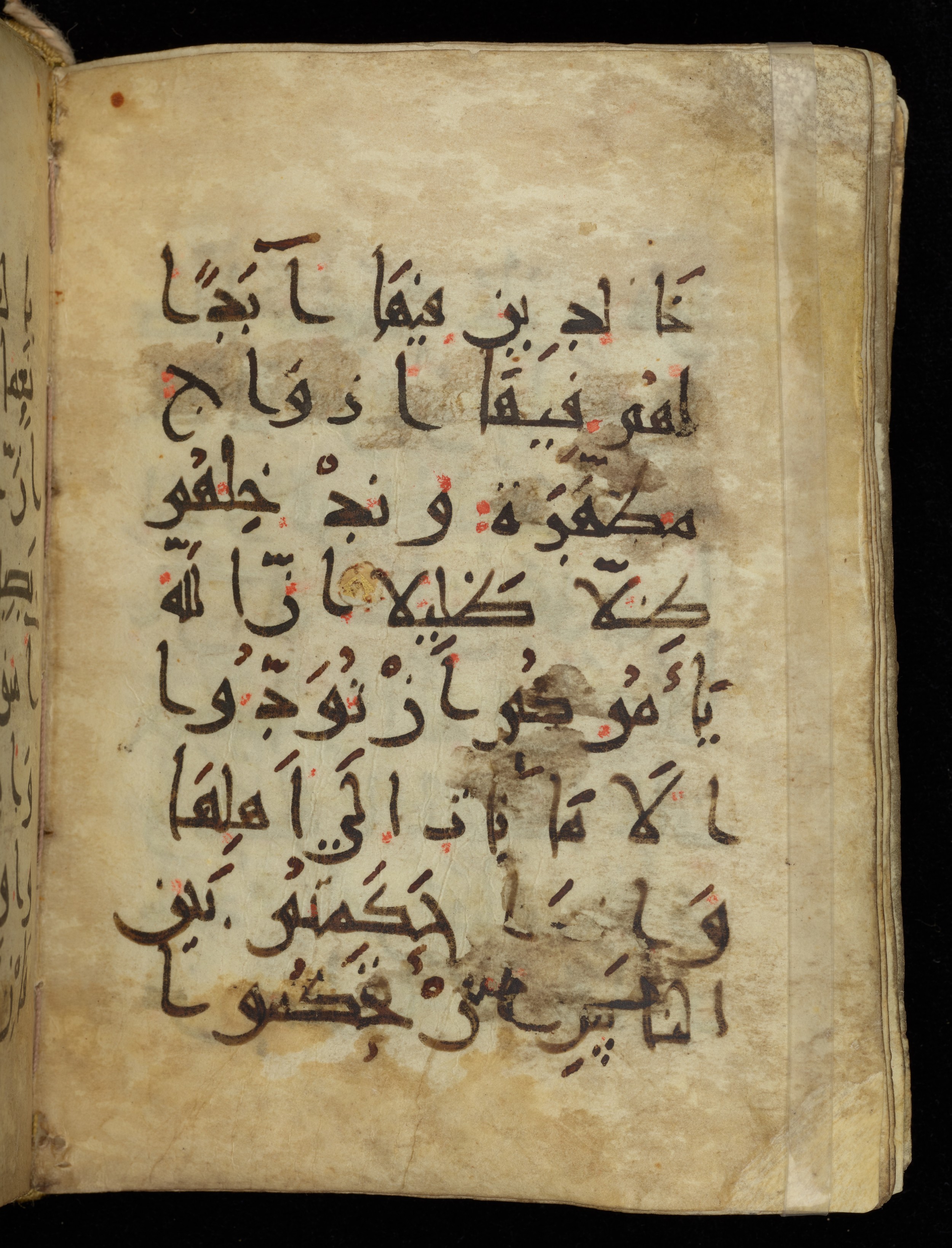 Khayqani Qurʾān (Is 1417A) (Scan 2), in New Style III script, showing Surah 4:57 from 9th to Early 10th Century AD found in Unknown, currently housed at Chester Beatty Library, Dublin