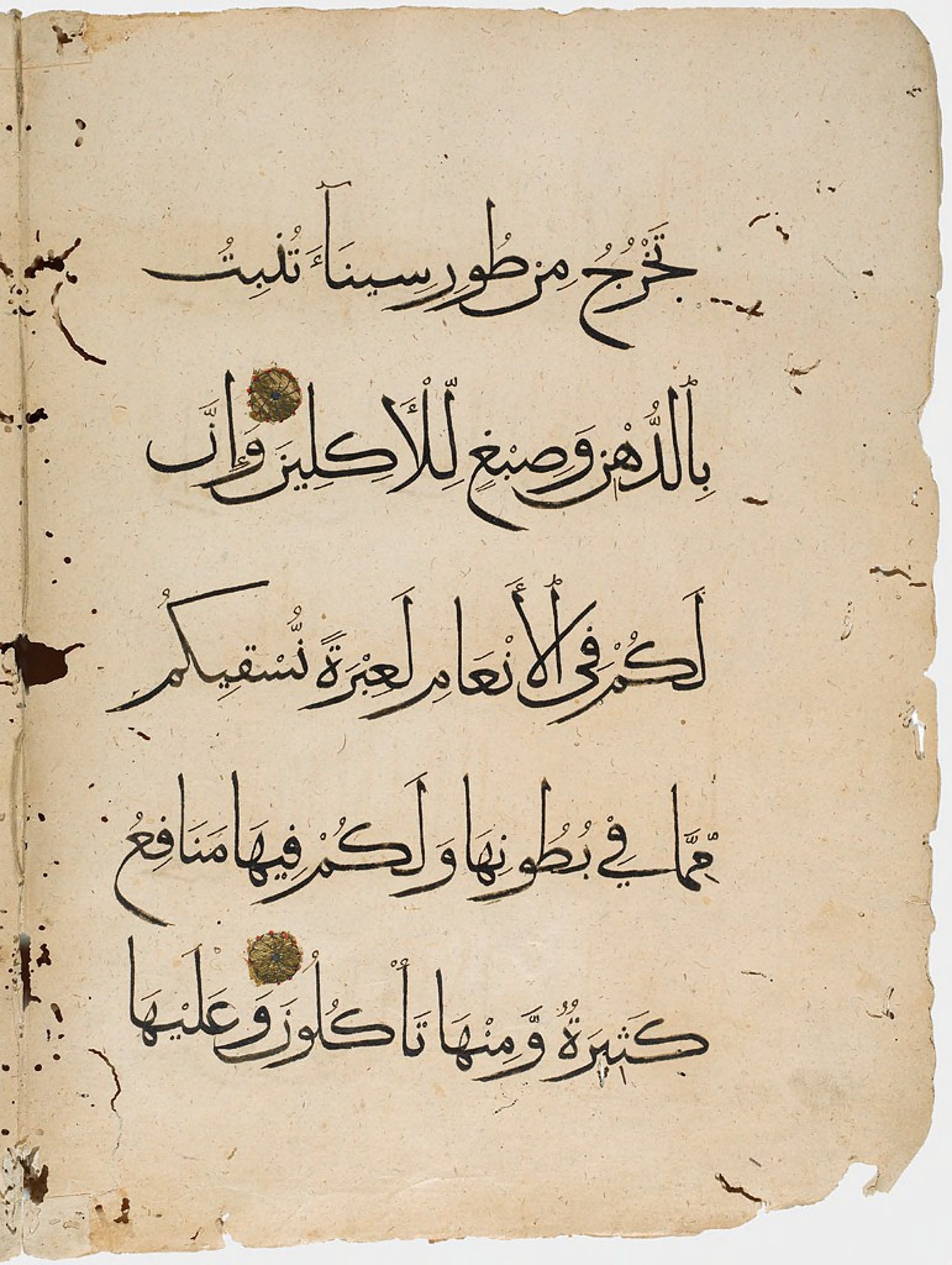 Harvard Art Museums 1919.160 (Scan 2) showing Surah 23:20 from 14th Century AD found in Syria or Egypt, currently housed at Harvard Art Museums, Cambridge, Massachusetts