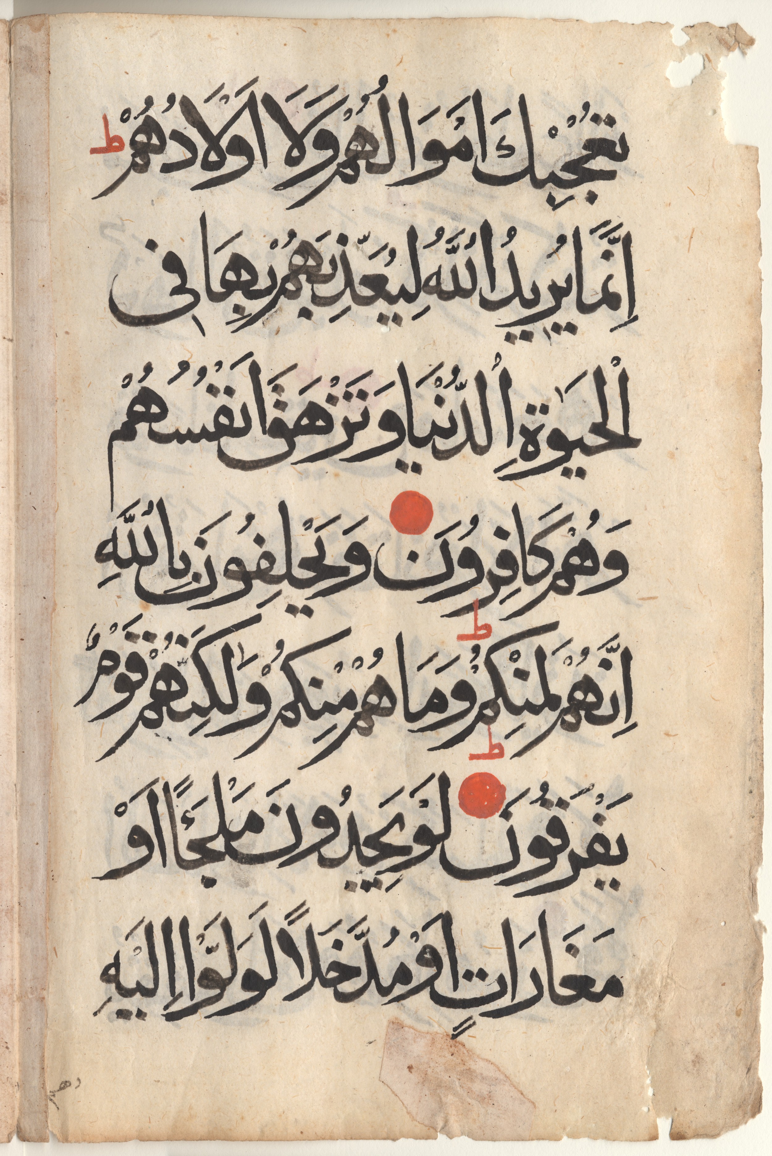 Brown University Library 6248, in Raiḥānī script, showing Surah 9:56 from 14th - 15th Century AD found in Unknown, currently housed at Brown University Library, Providence, Rhode Island