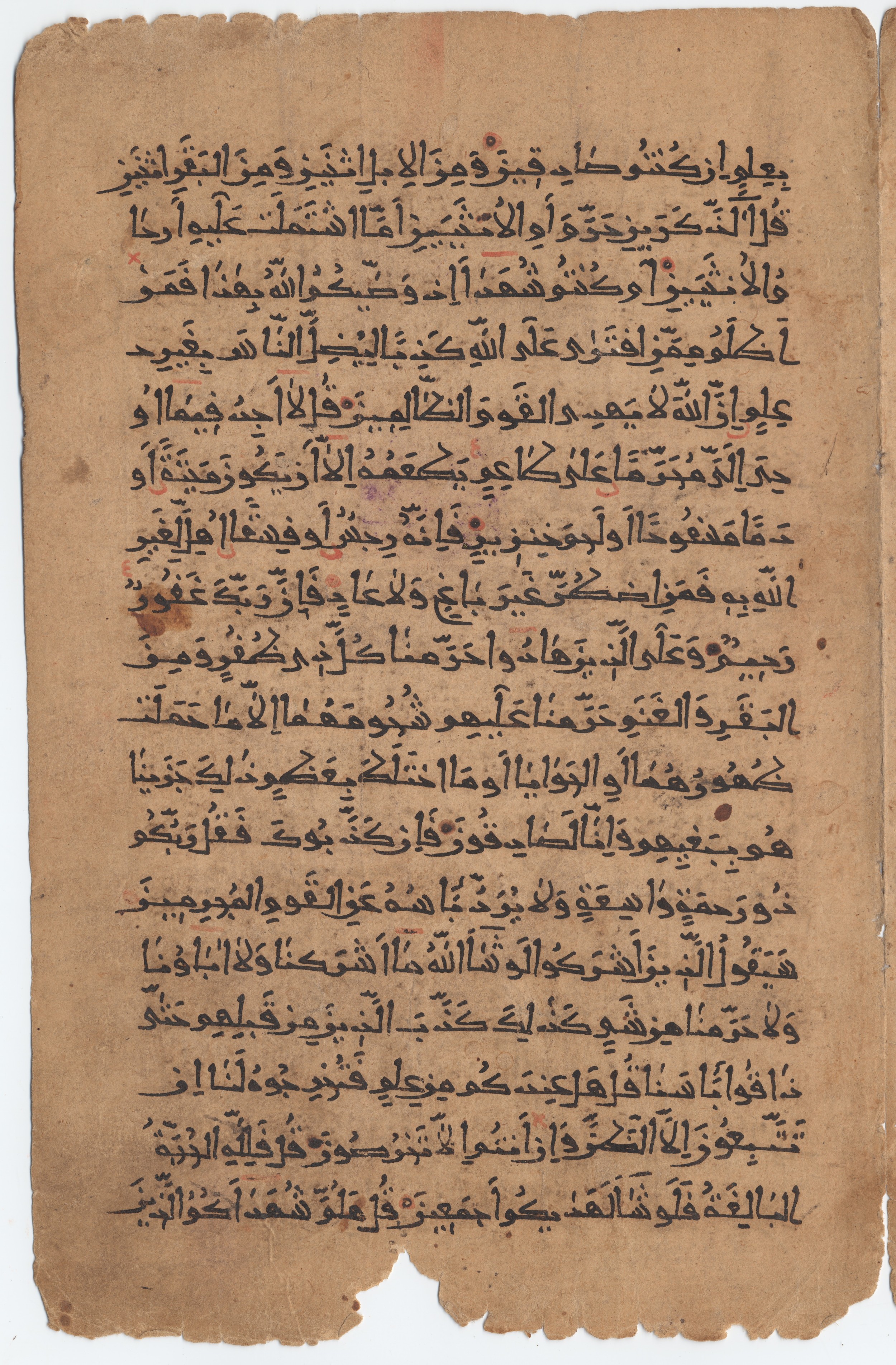 Brown University Library 6659, in New Style I script, showing Surah 6:147 from 10th to 11th Century AD found in Unknown, currently housed at Brown University Library, Providence, Rhode Island