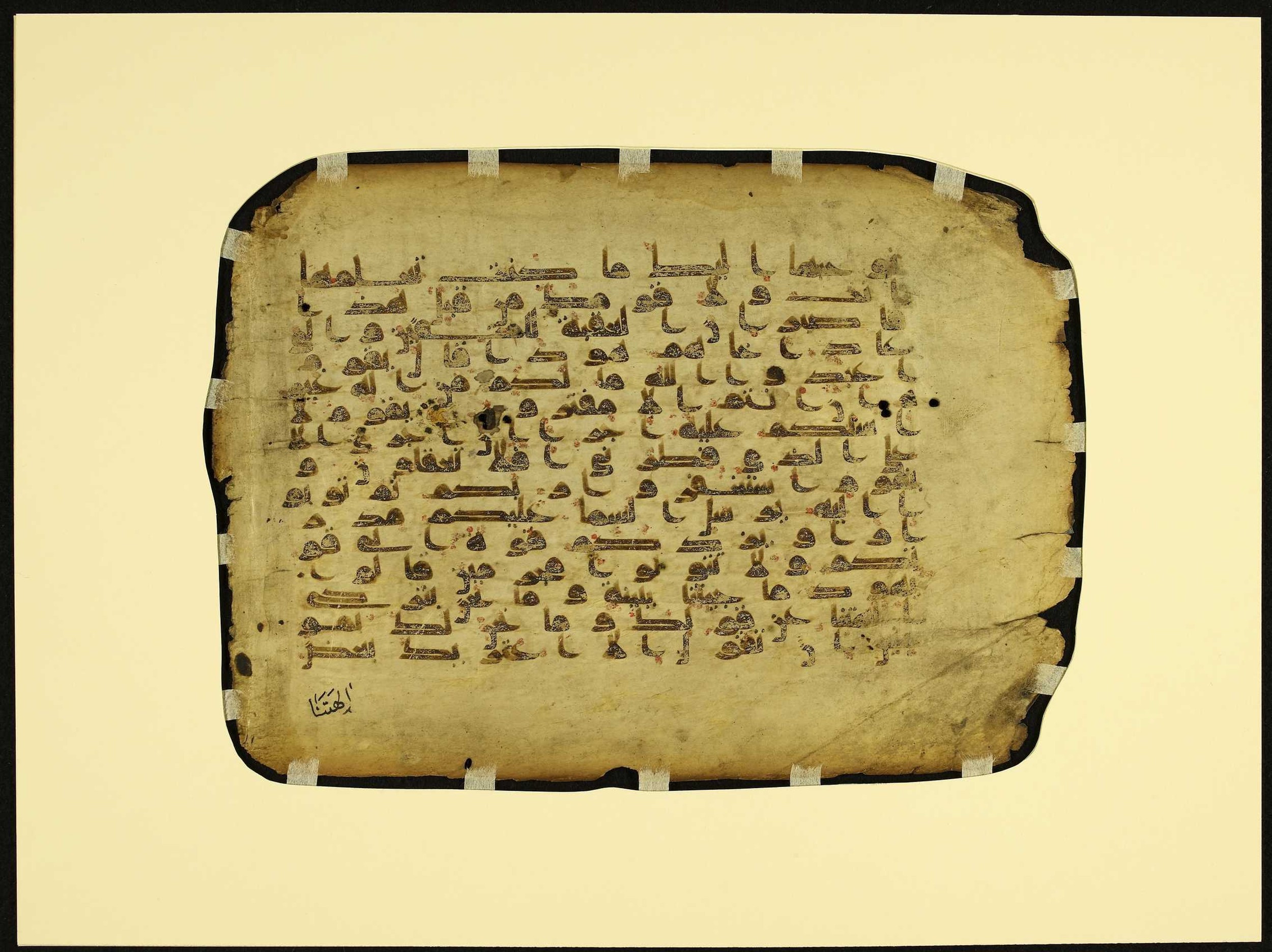 MS Brunensis-Birminghamiensis (BrB) (Scan 2), in kūfī D.IV script, showing Surah 11:49 from 9th Century AD found in Middle East, currently housed at Brown University Library, Providence, Rhode Island