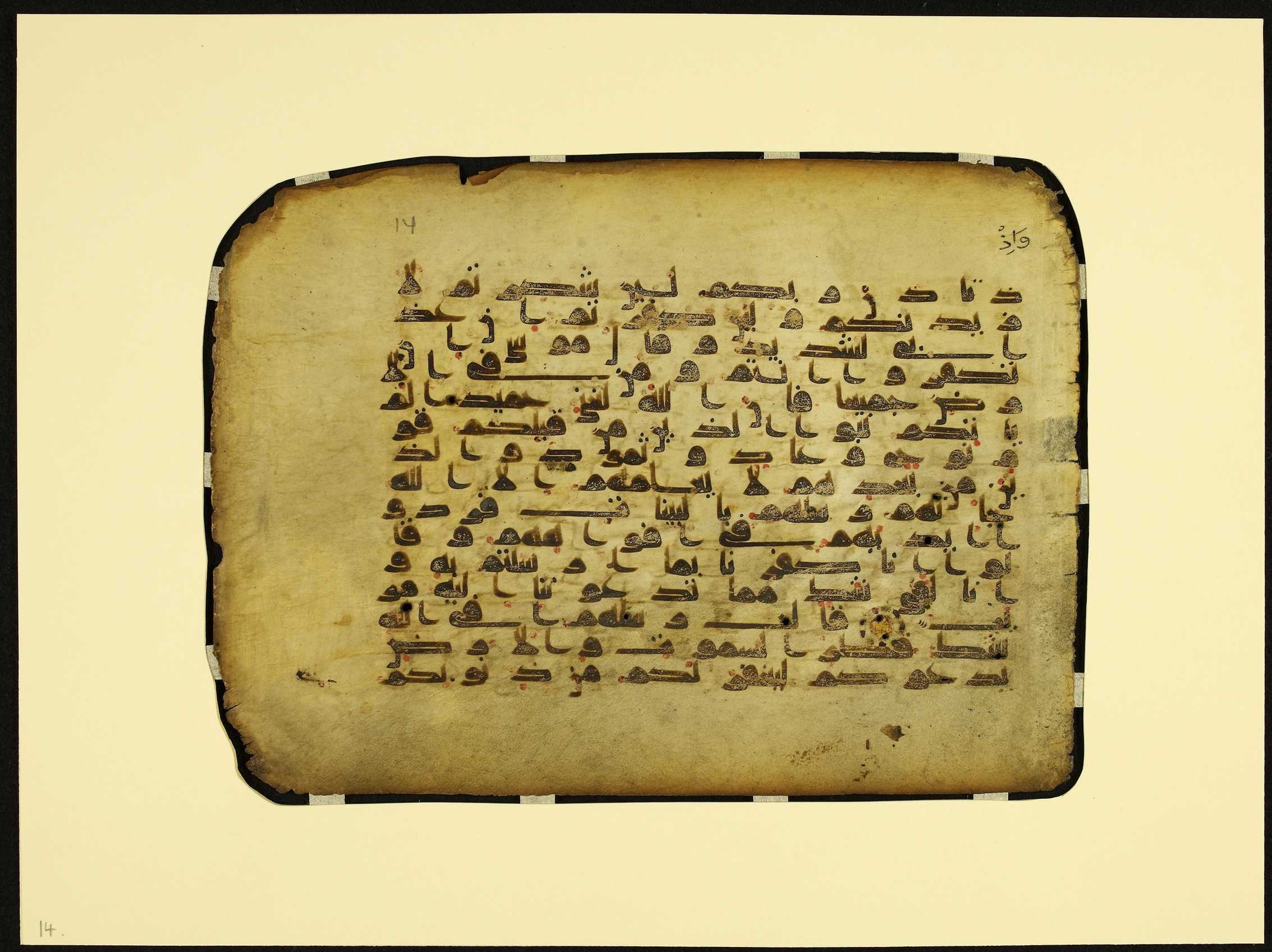 MS Brunensis-Birminghamiensis (BrB), in kūfī D.IV script, showing Surah 14:7 from 9th Century AD found in Middle East, currently housed at Brown University Library, Providence, Rhode Island