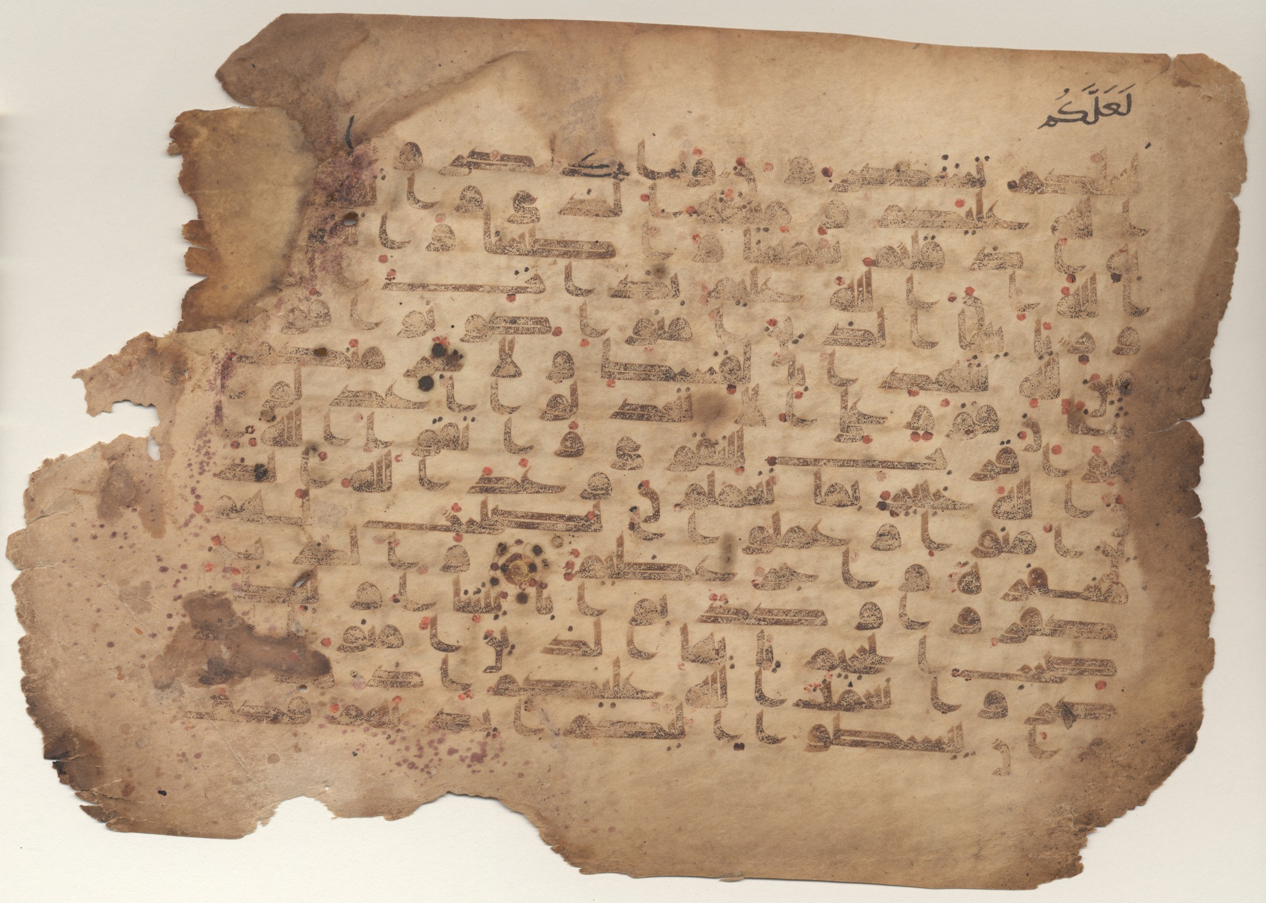 MS Brunensis-Birminghamiensis (BrB), in kūfī D.IV script, showing Surah 5:7 from 9th Century AD found in Middle East, currently housed at Brown University Library, Providence, Rhode Island
