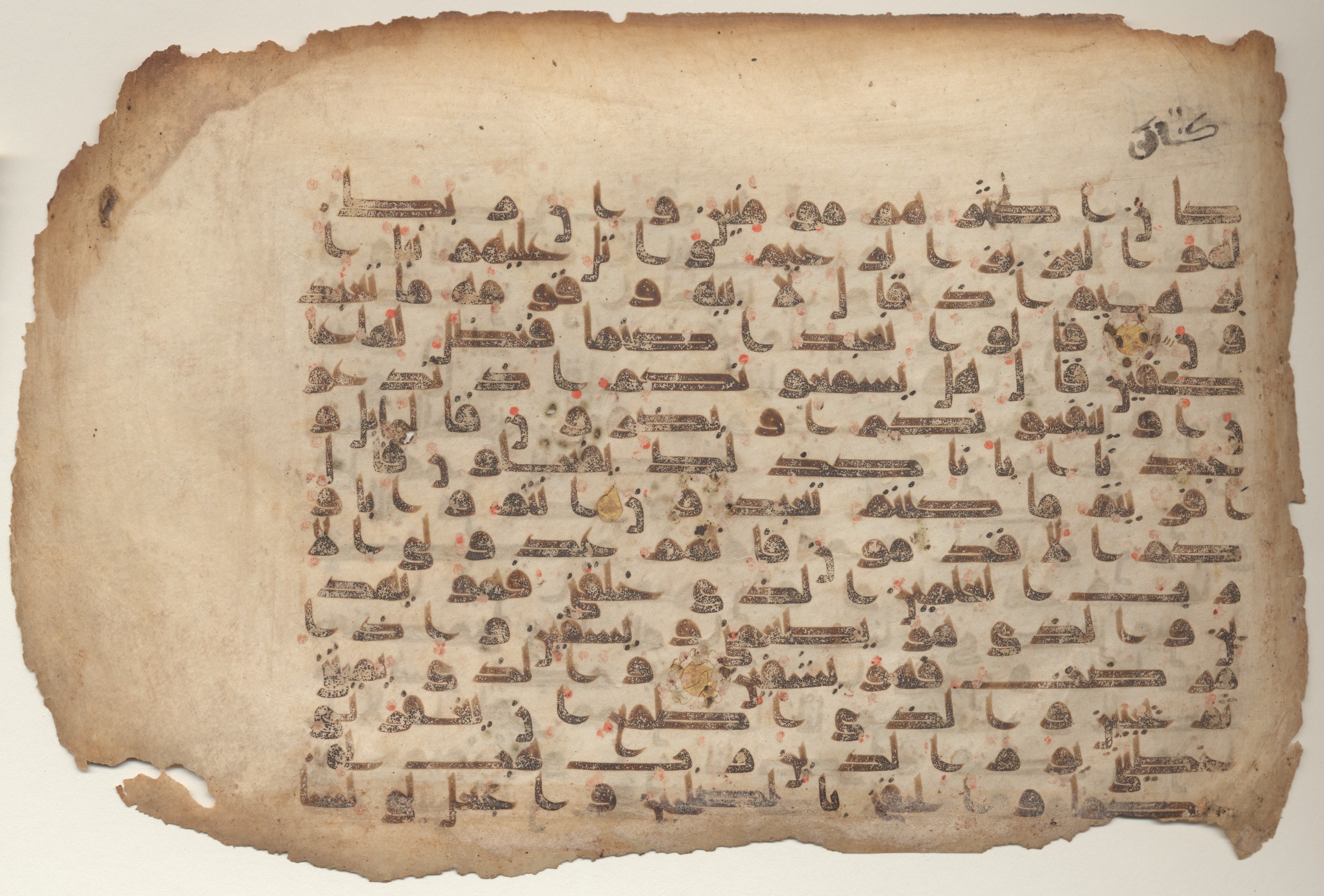 MS Brunensis-Birminghamiensis (BrB), in kūfī D.IV script, showing Surah 26:83 from 9th Century AD found in Middle East, currently housed at Brown University Library, Providence, Rhode Island