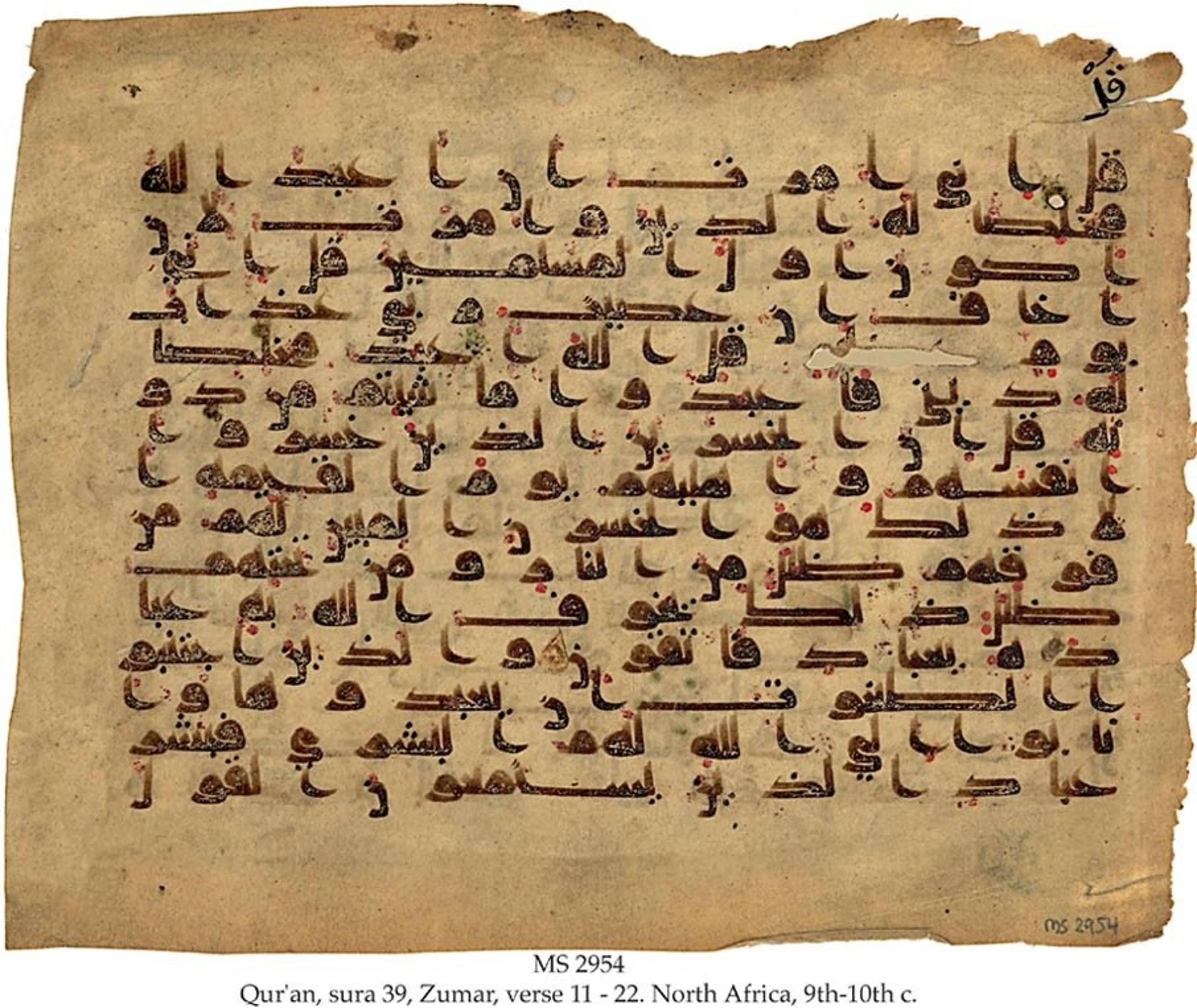 MS Brunensis-Birminghamiensis (BrB), in kūfī D.IV script, showing Surah 39:13 from 9th Century AD found in Middle East, currently housed at Brown University Library, Providence, Rhode Island